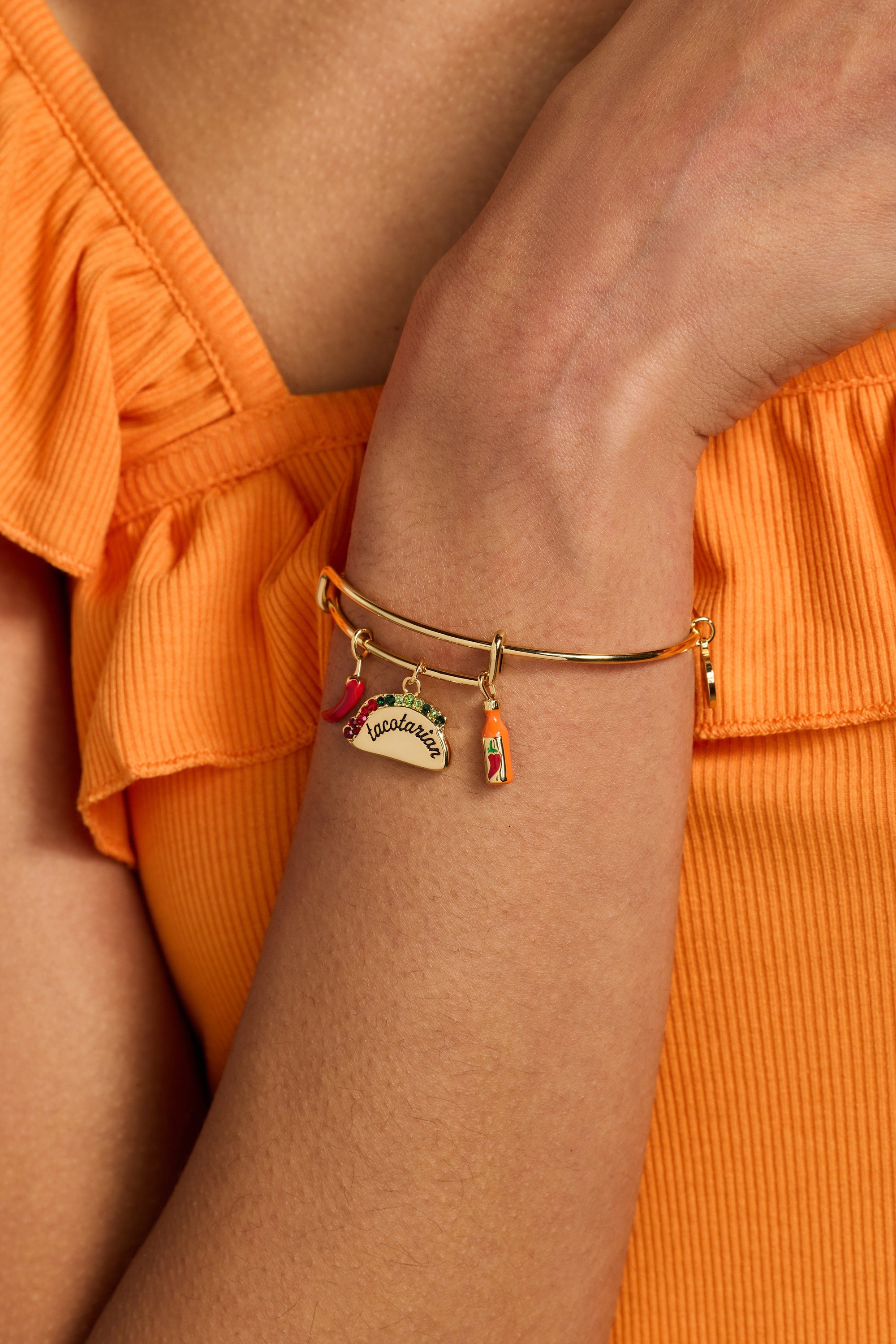'Tacotarian' Multi Charm Bangle