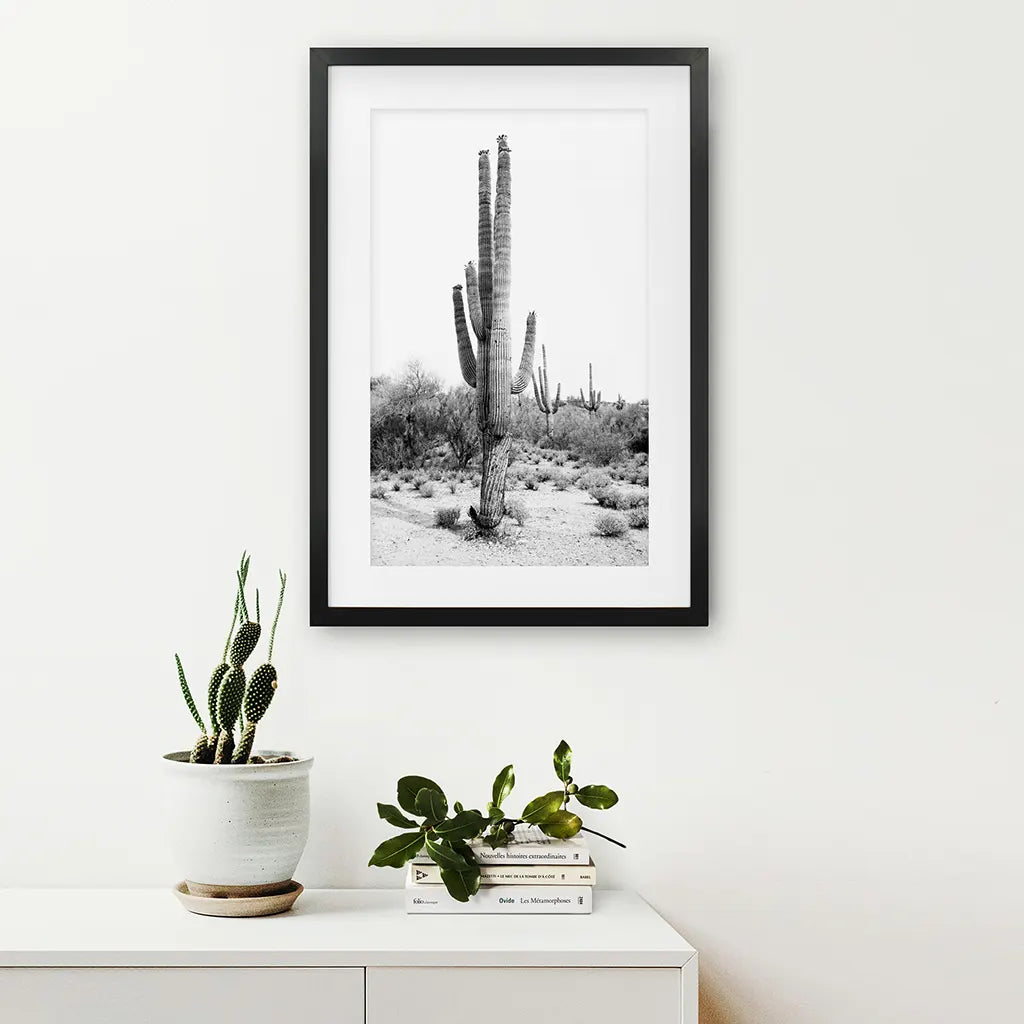Schwarz-Weiß-Saguaro-Kaktus-Poster. Arizona Wüste Natur
