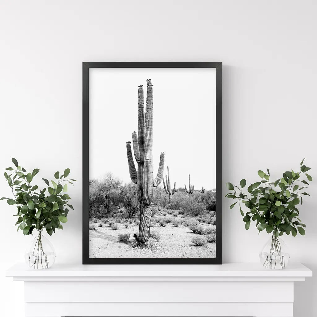 Schwarz-Weiß-Saguaro-Kaktus-Poster. Arizona Wüste Natur