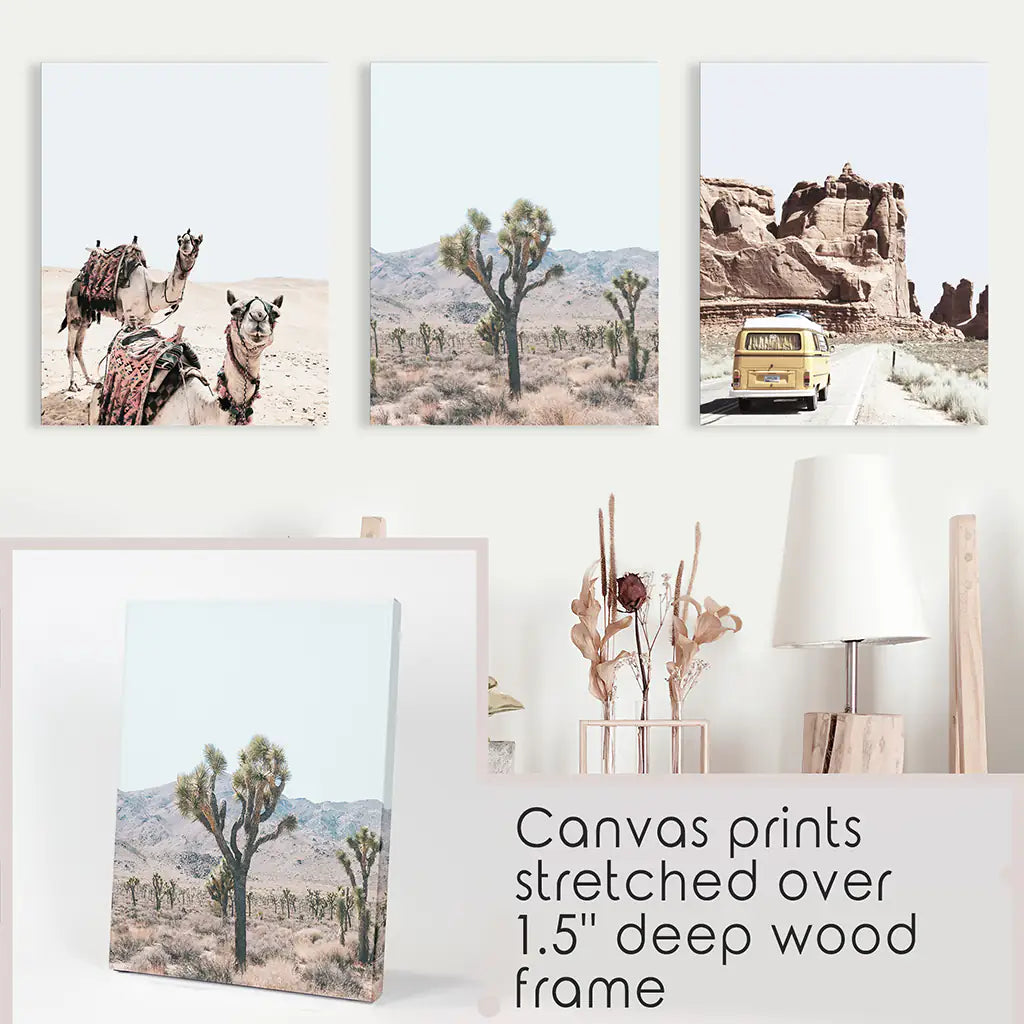 3er Set Southwestern Wüstendrucke. Joshua Tree, Kamel, Van