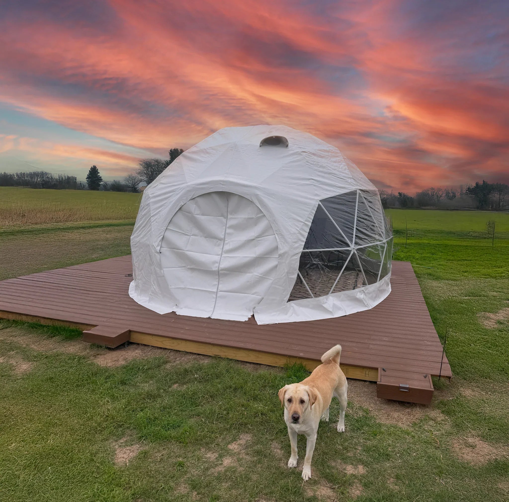 Geodesic Dome | 16-Foot | Made to Order*