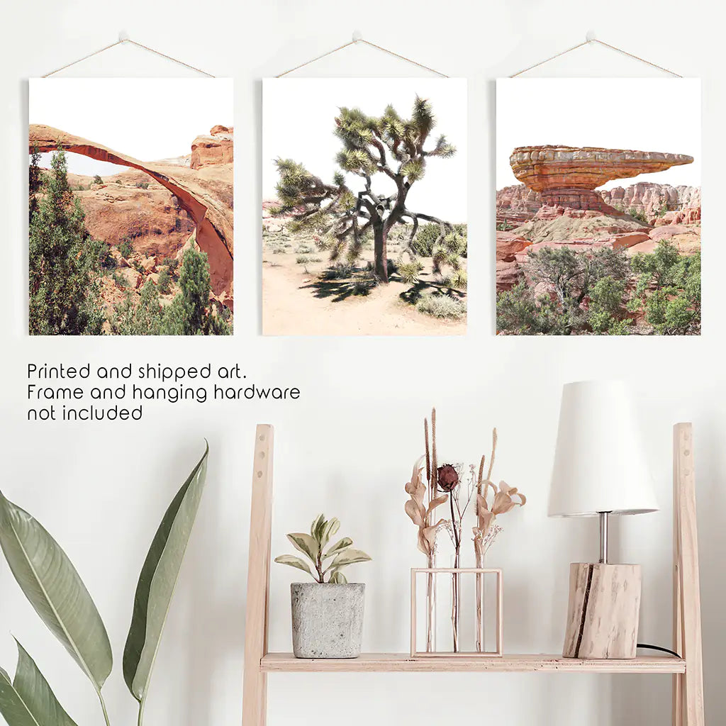 US Wüsten-Wandkunst. Arches-Nationalpark, Klippe, Joshua Tree