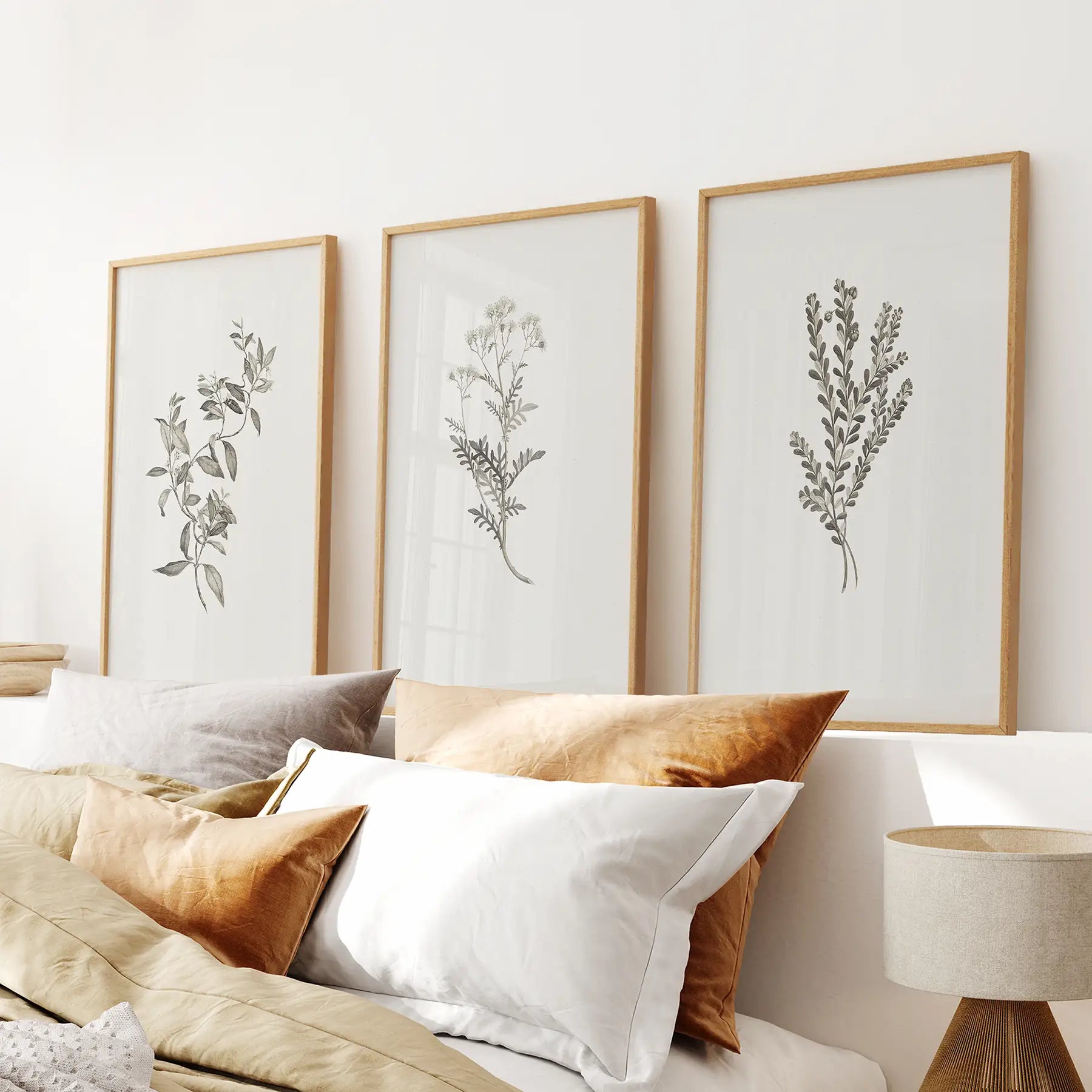 Vintage Wohndeko. Botanisches Wandbild-Set von Sydney Parkinson