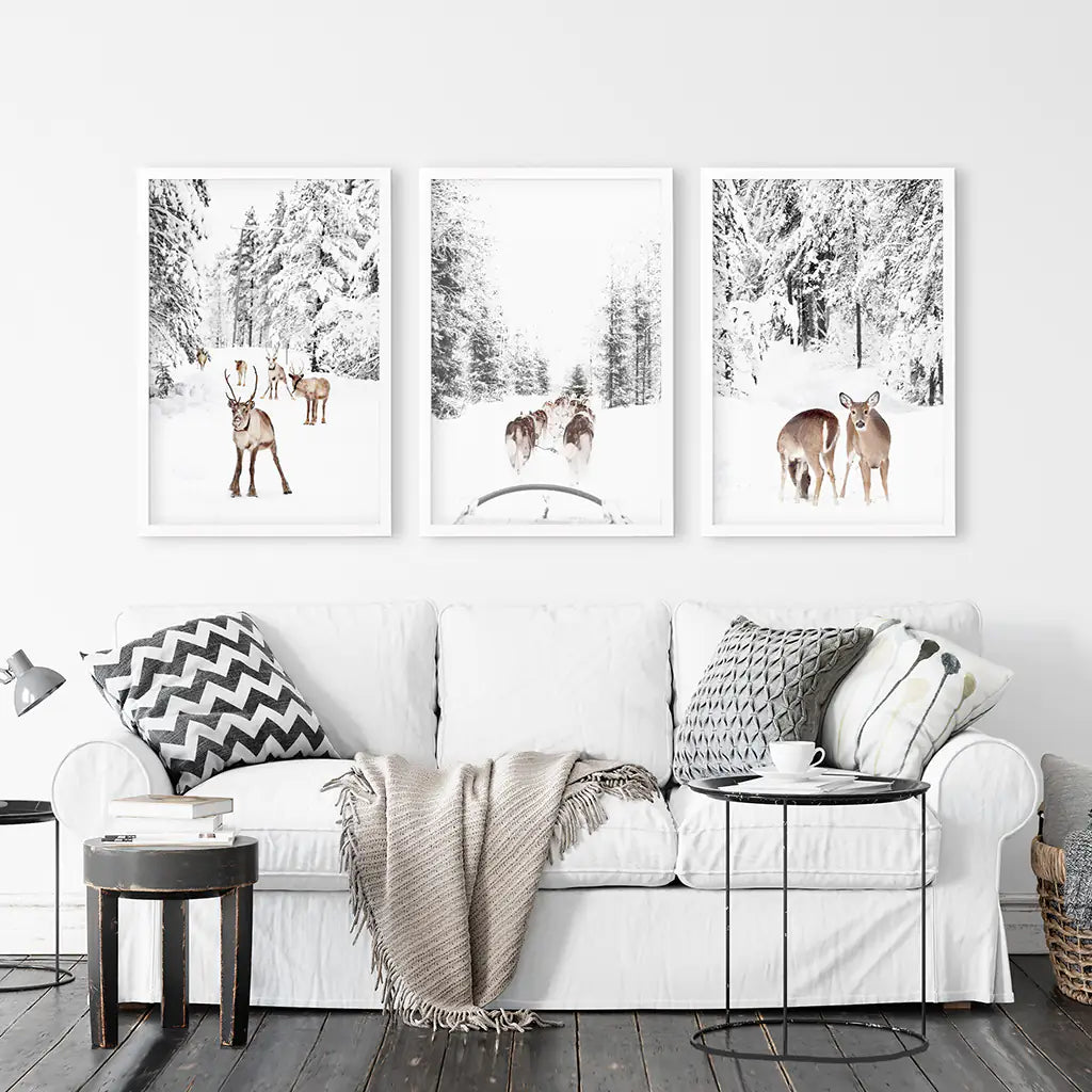 Winterlicher Wald Fotoset mit 3 Stück. Rehkitz, Hundeschlittenfahrt