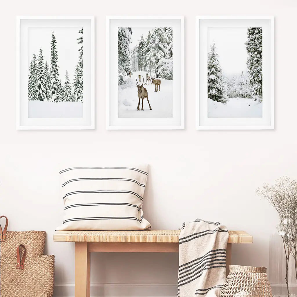 3-teiliges Winterlandschaft Wandbild. Verschneiter Kiefernwald, Kitz