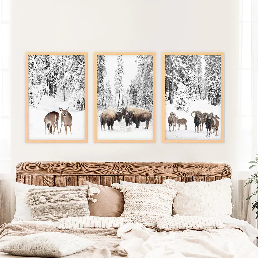 Wintertiere Wandbild Set mit 3. Büffel, Reh, Ziege
