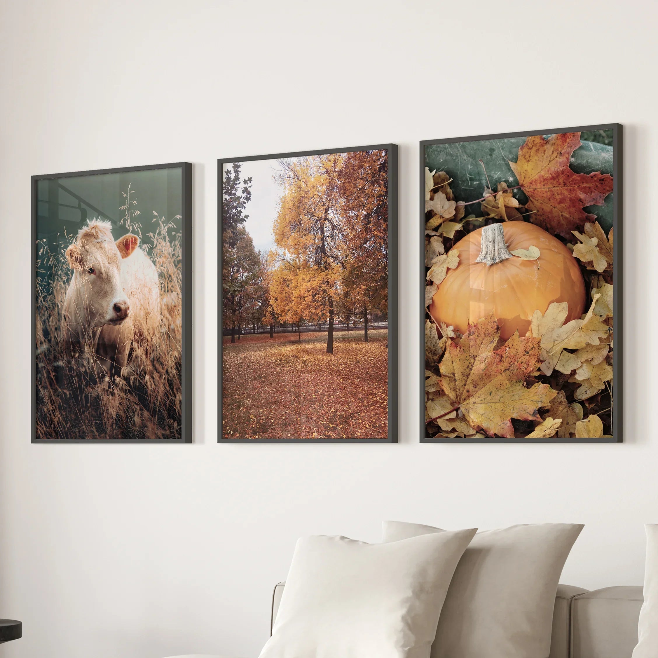 Autumn Farmhouse Prints. Cow, Fall Trees, Pumpkin Decor
