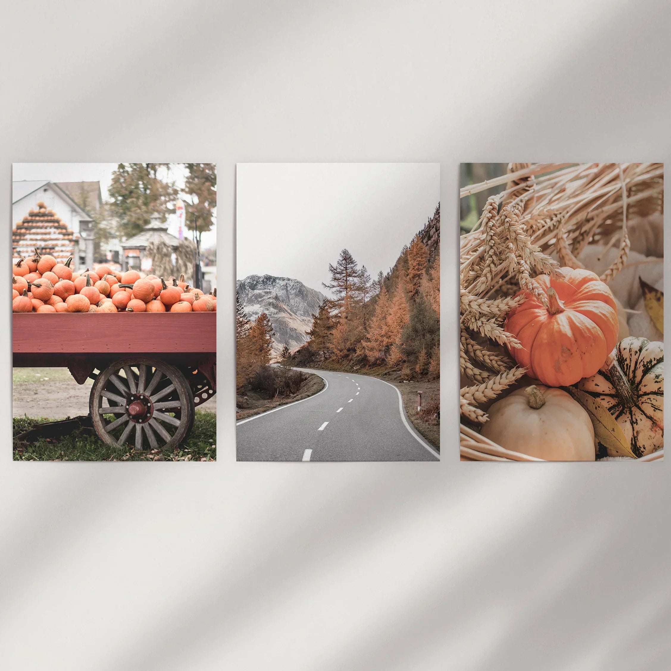 Autumn Pumpkin Set of 3 Prints. Rustic Fall Harvest Decor