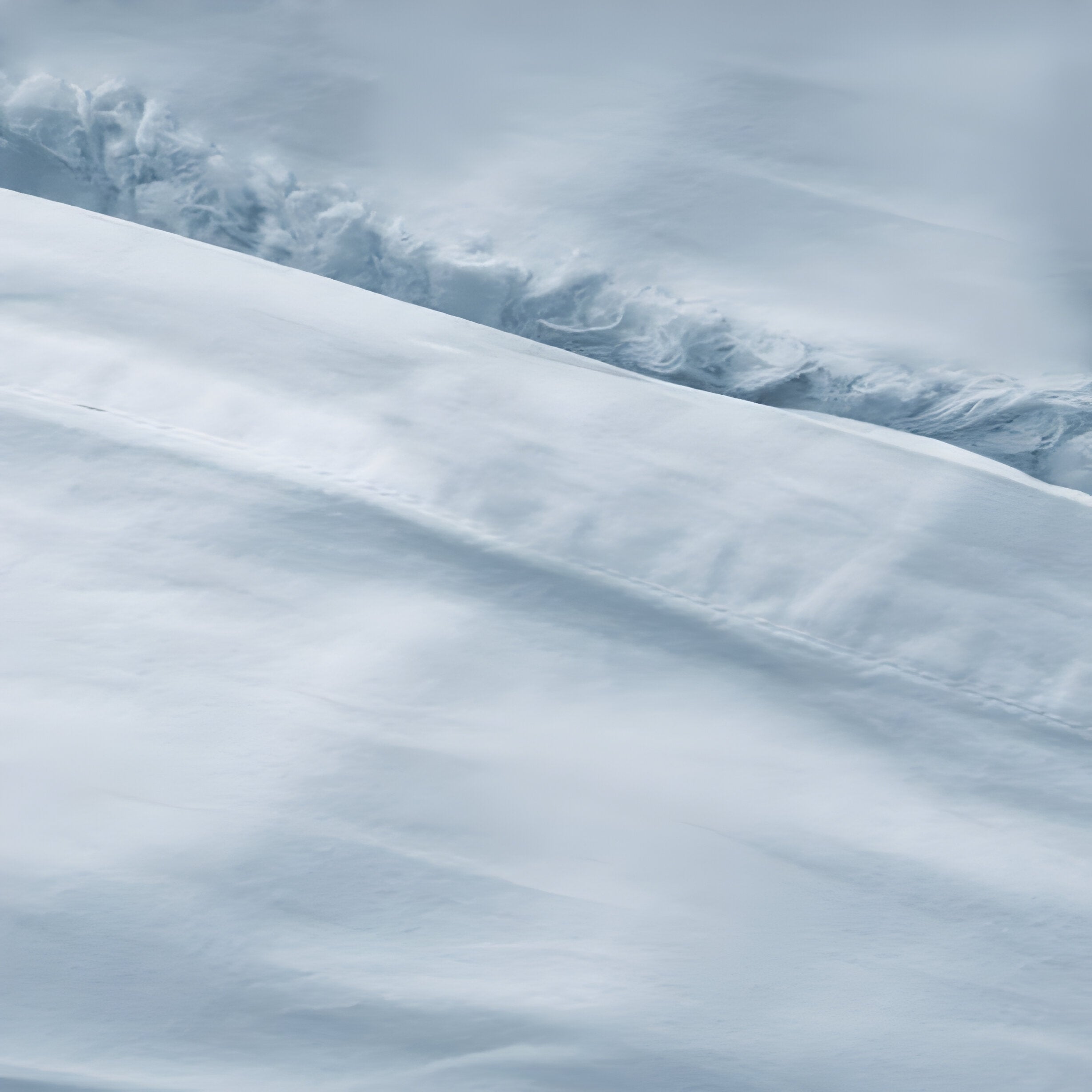 400TC Cotton Sateen Solid Fringe Duvet Cover Set