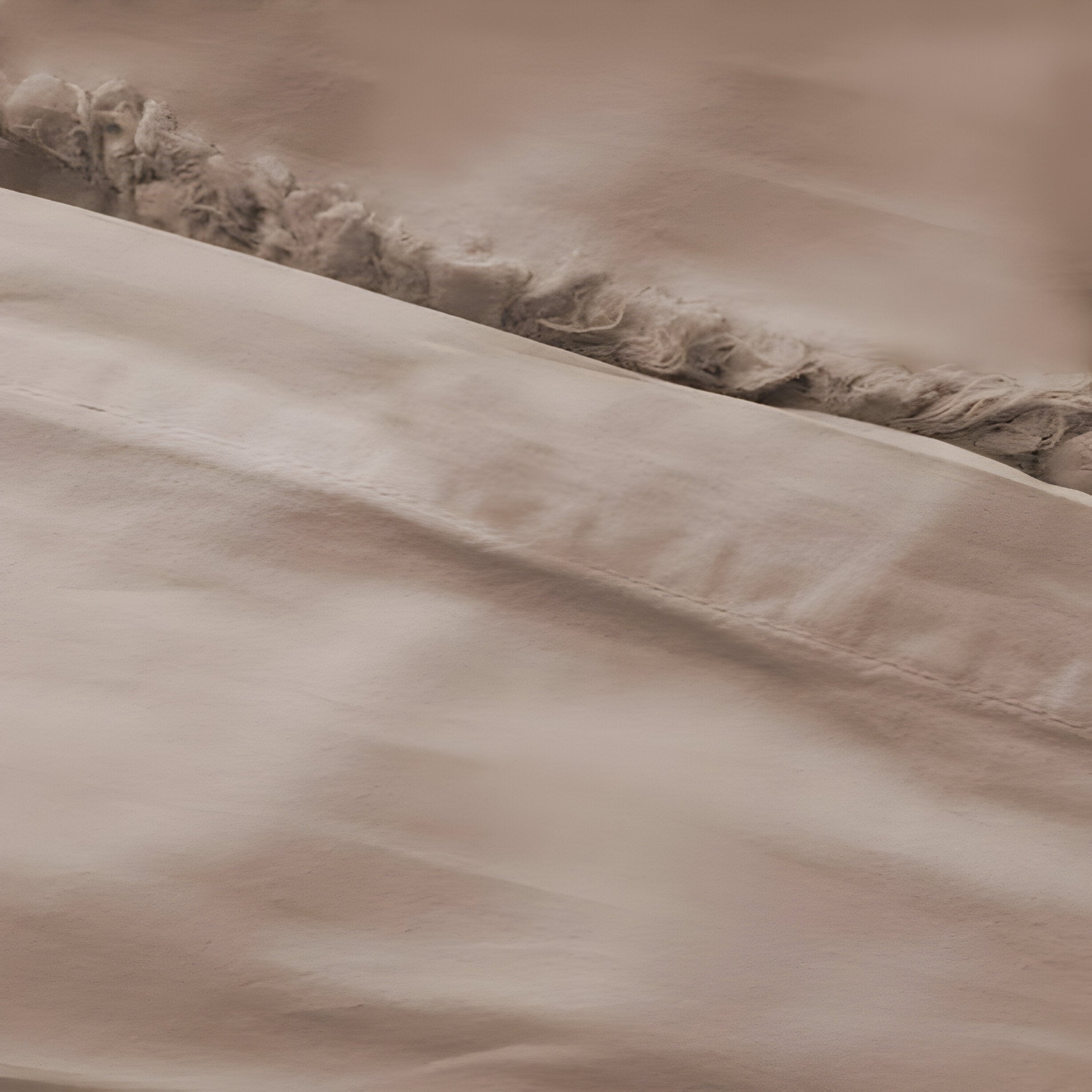 400TC Cotton Sateen Solid Fringe Duvet Cover Set