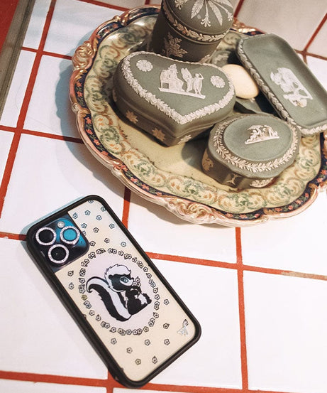 Little Stinker iPhone Case