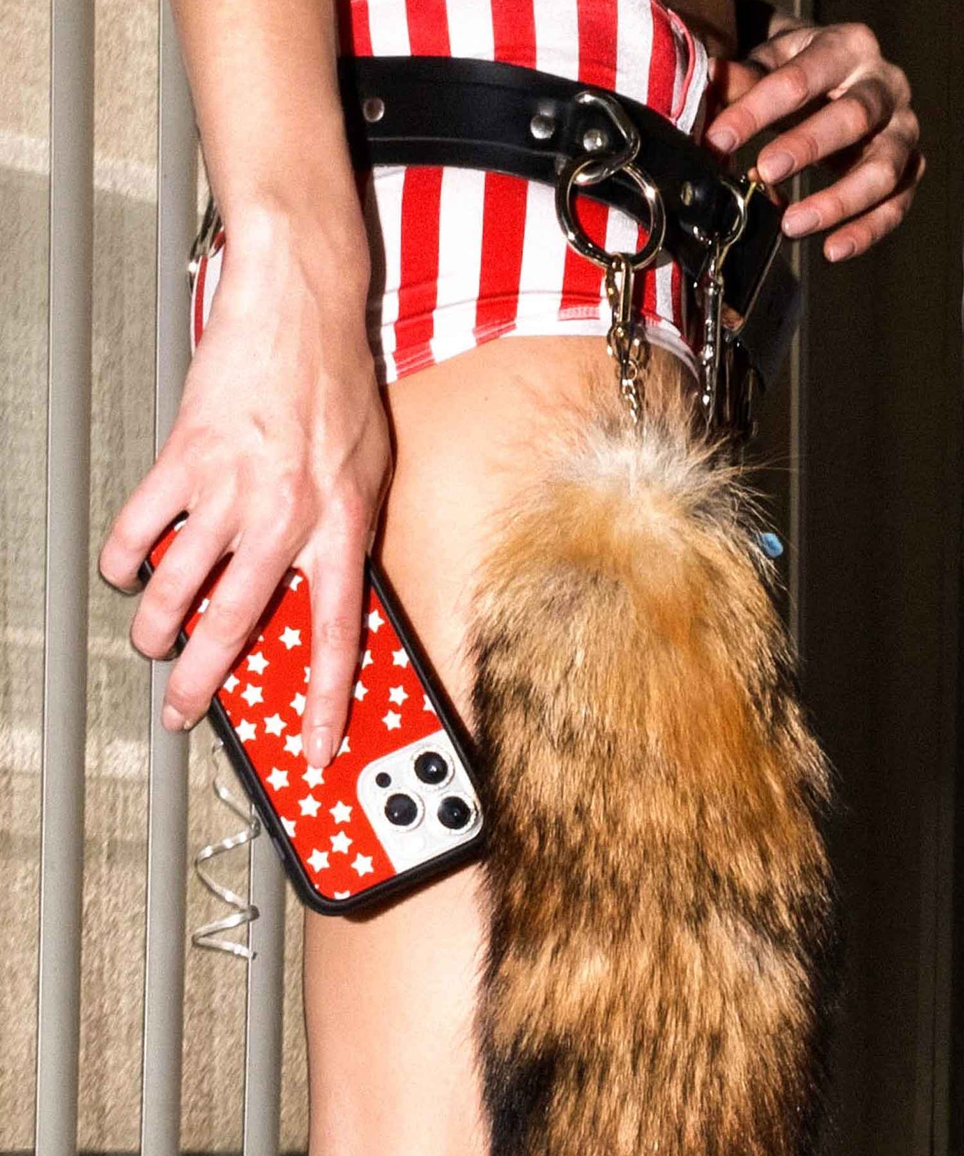 National Anthem iPhone Case