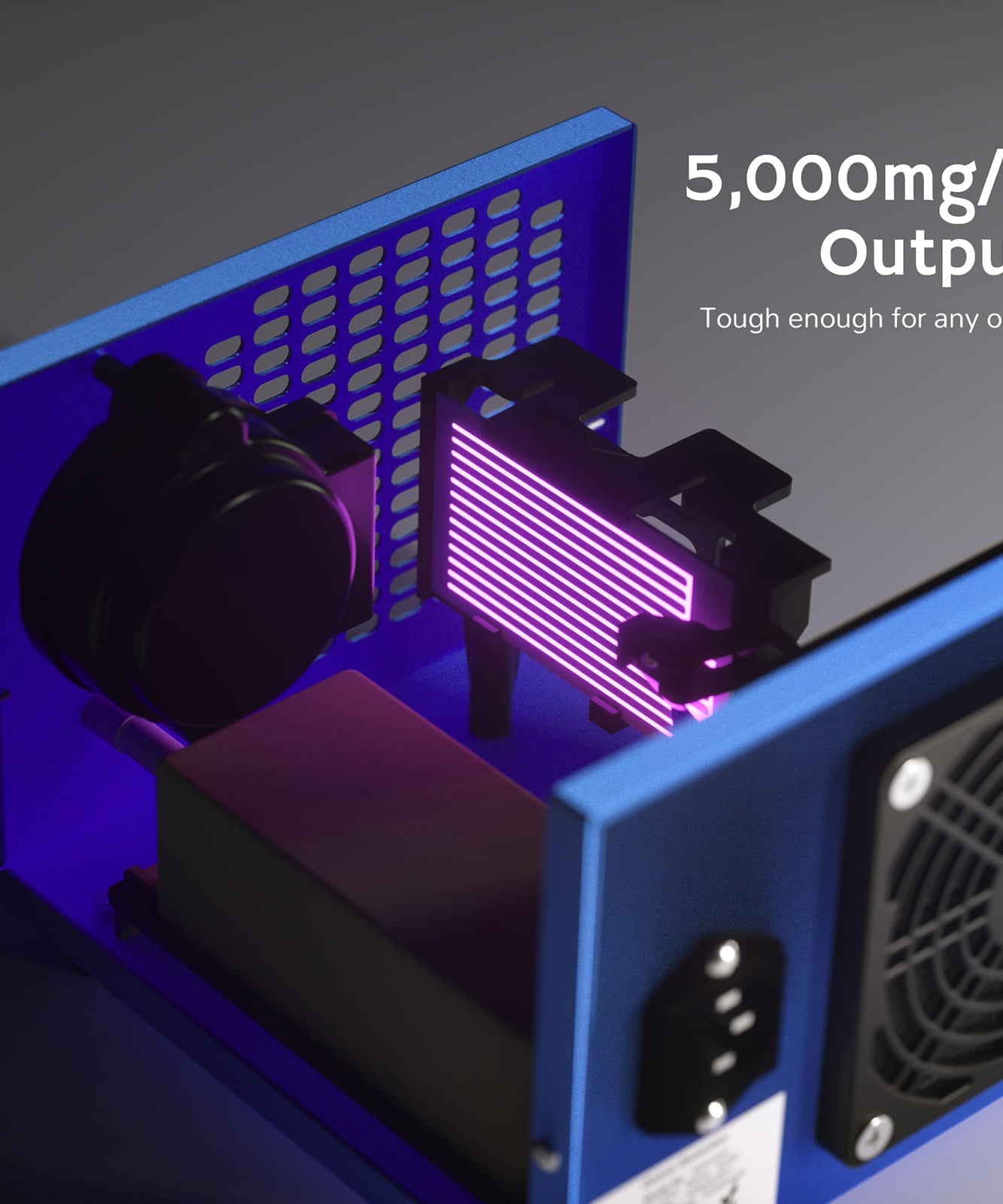 Ozongenerator MA5000, Option für austauschbare Ozonplatte