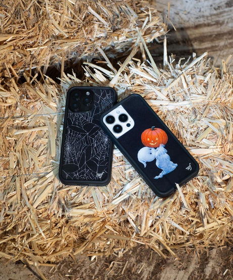 Itsy Bitsy Spider iPhone Case