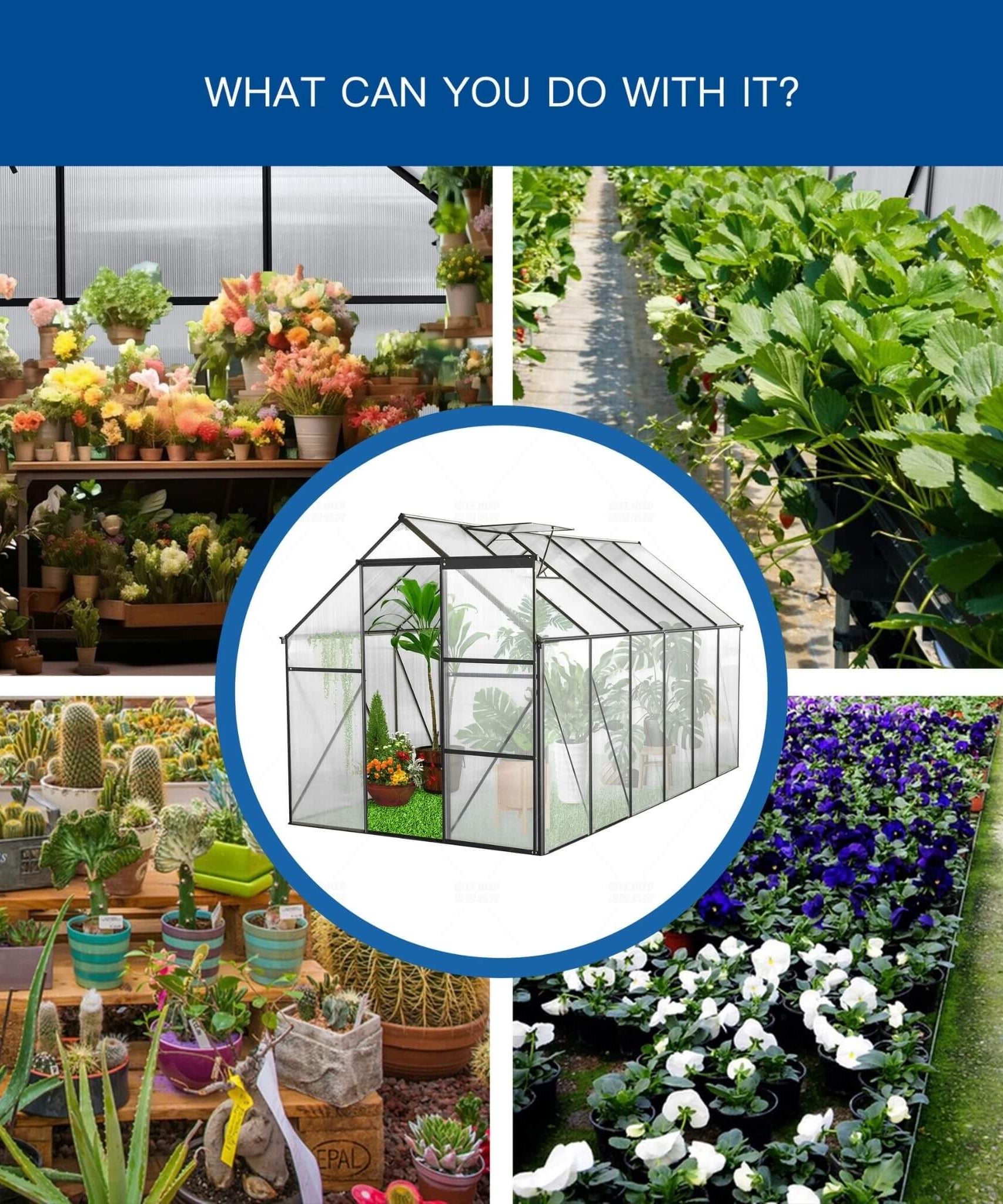 [06X12FT] Heavy-Duty Black Polycarbonate Greenhouse With Raised Base And Anchor (SAK92451)