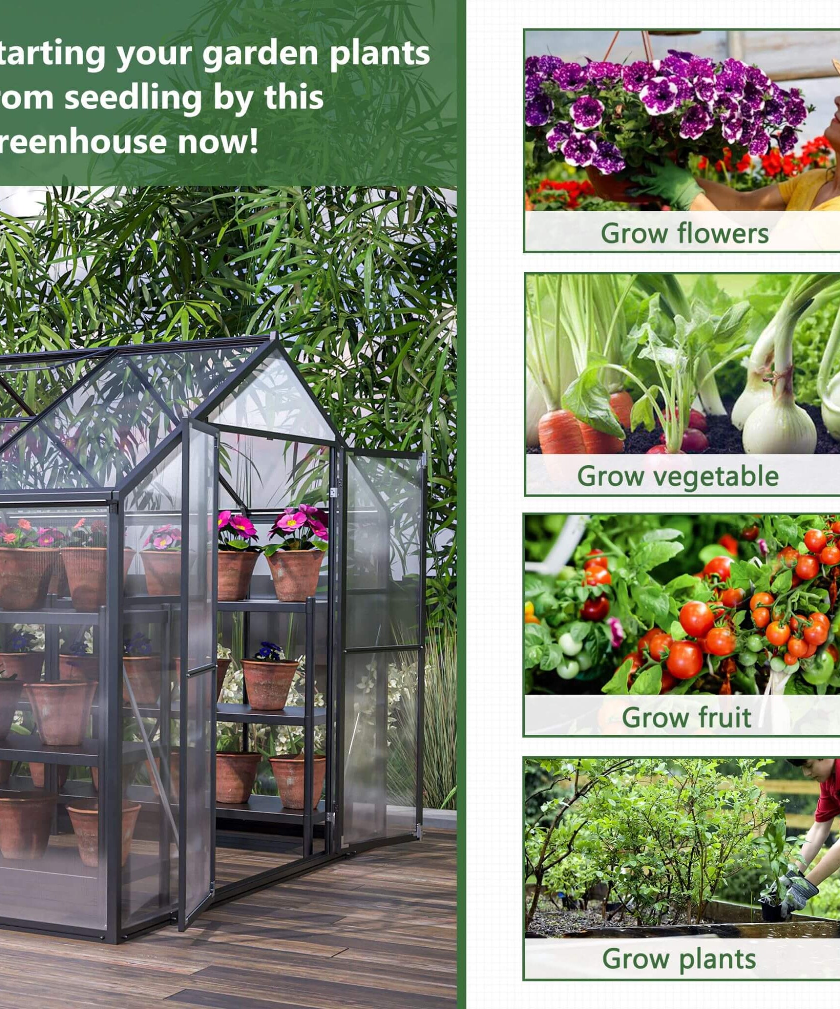 [08X12FT] Large Outdoor Heavy-Duty Polycarbonate Walk-In Greenhouse With Double Swing Doors And Two Ventilation Windows (SAK73651)