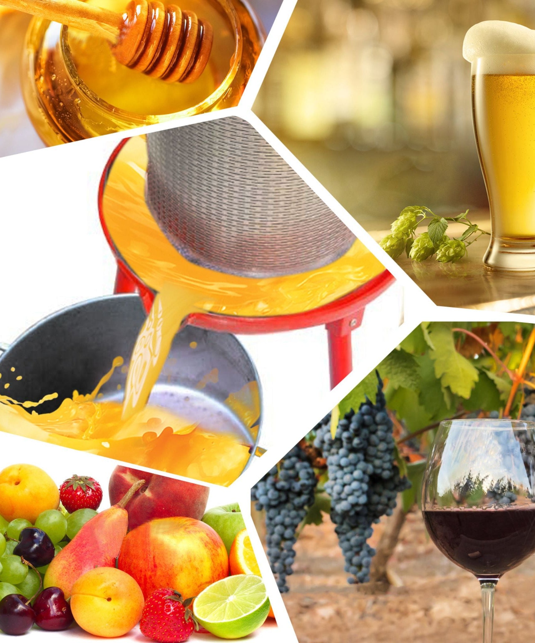 10-Gal Stainless Steel Hydraulic Fruit Wine Apple Press (SAK85622)