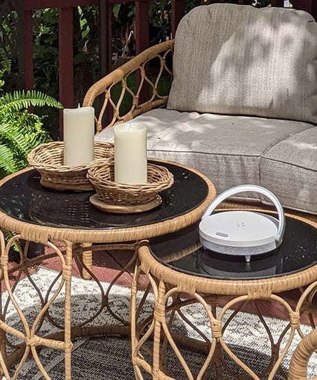 Handgewebte Rattan- & Mangoholzschale mit Naturkante, 2er-Set