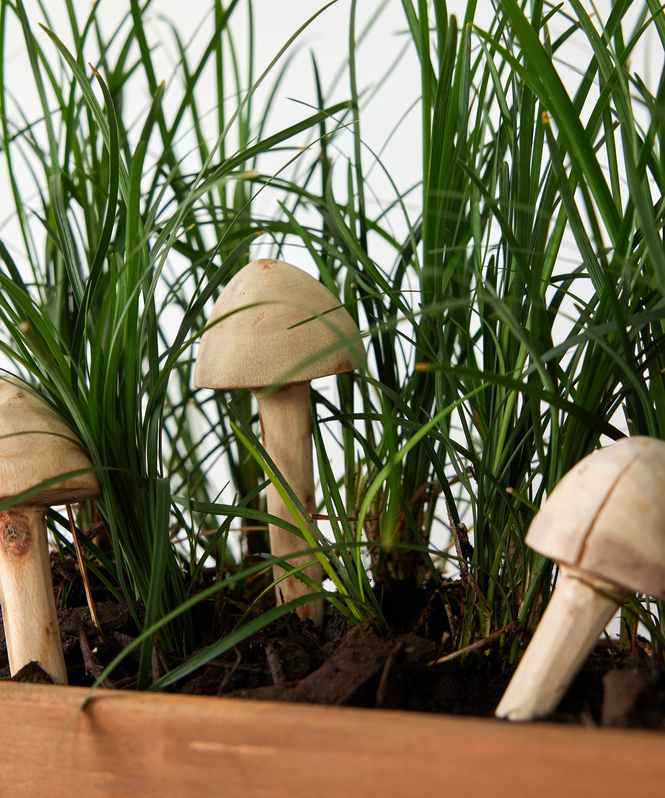 Wooden Mushroom Garden Stick