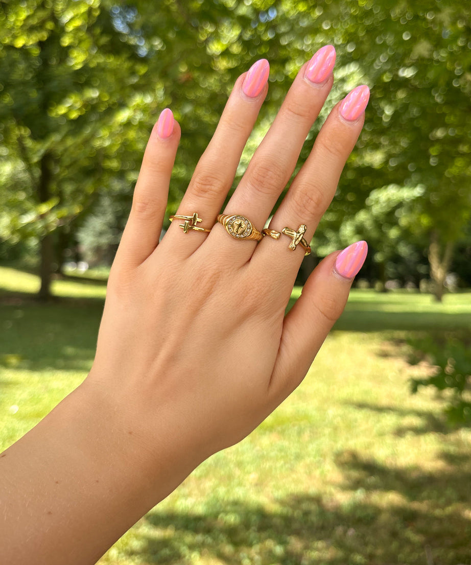 Kingdom Signet Ring