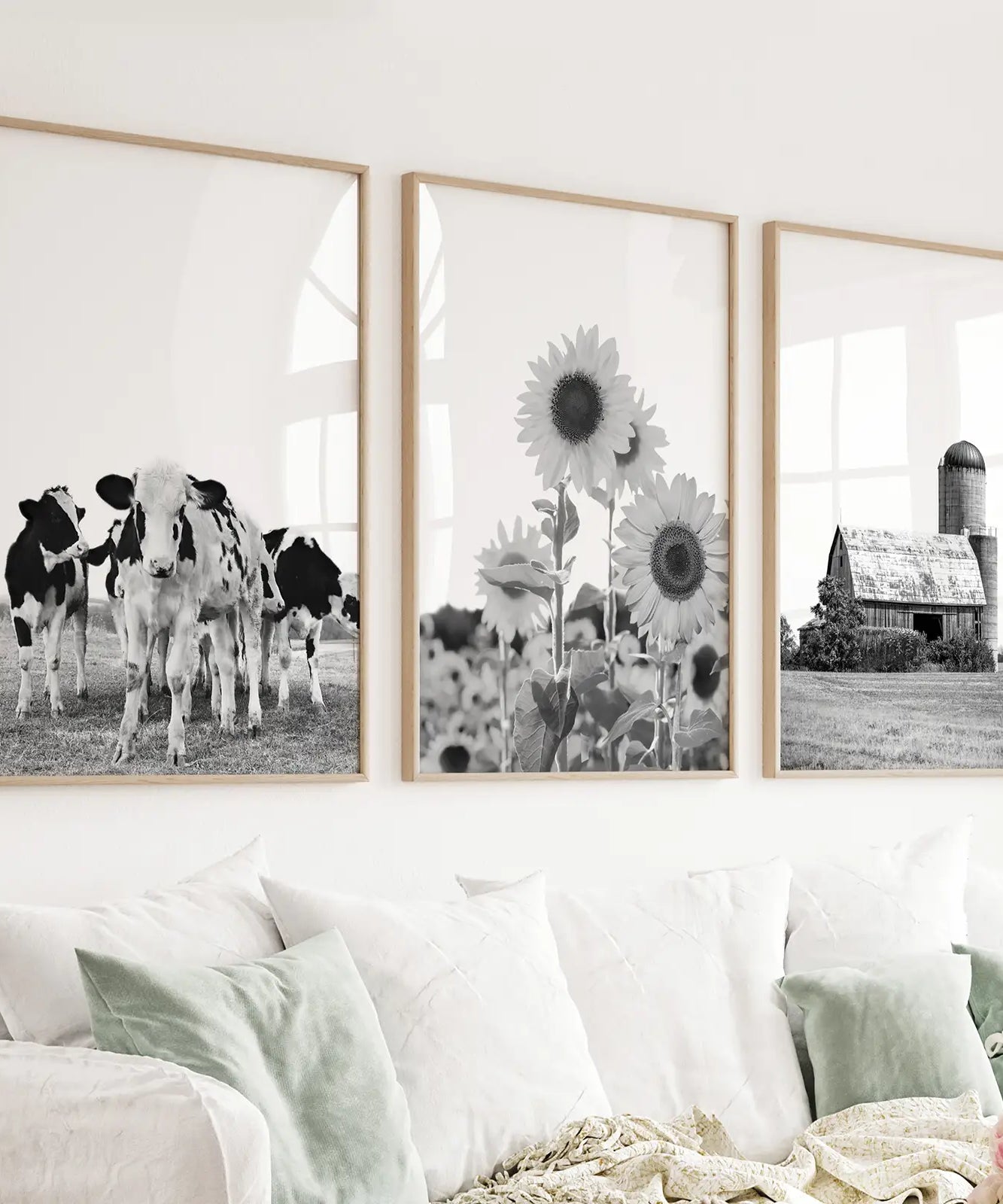 Rustic Black White Wall Art Set. Cows, Sunflowers, Old Barn