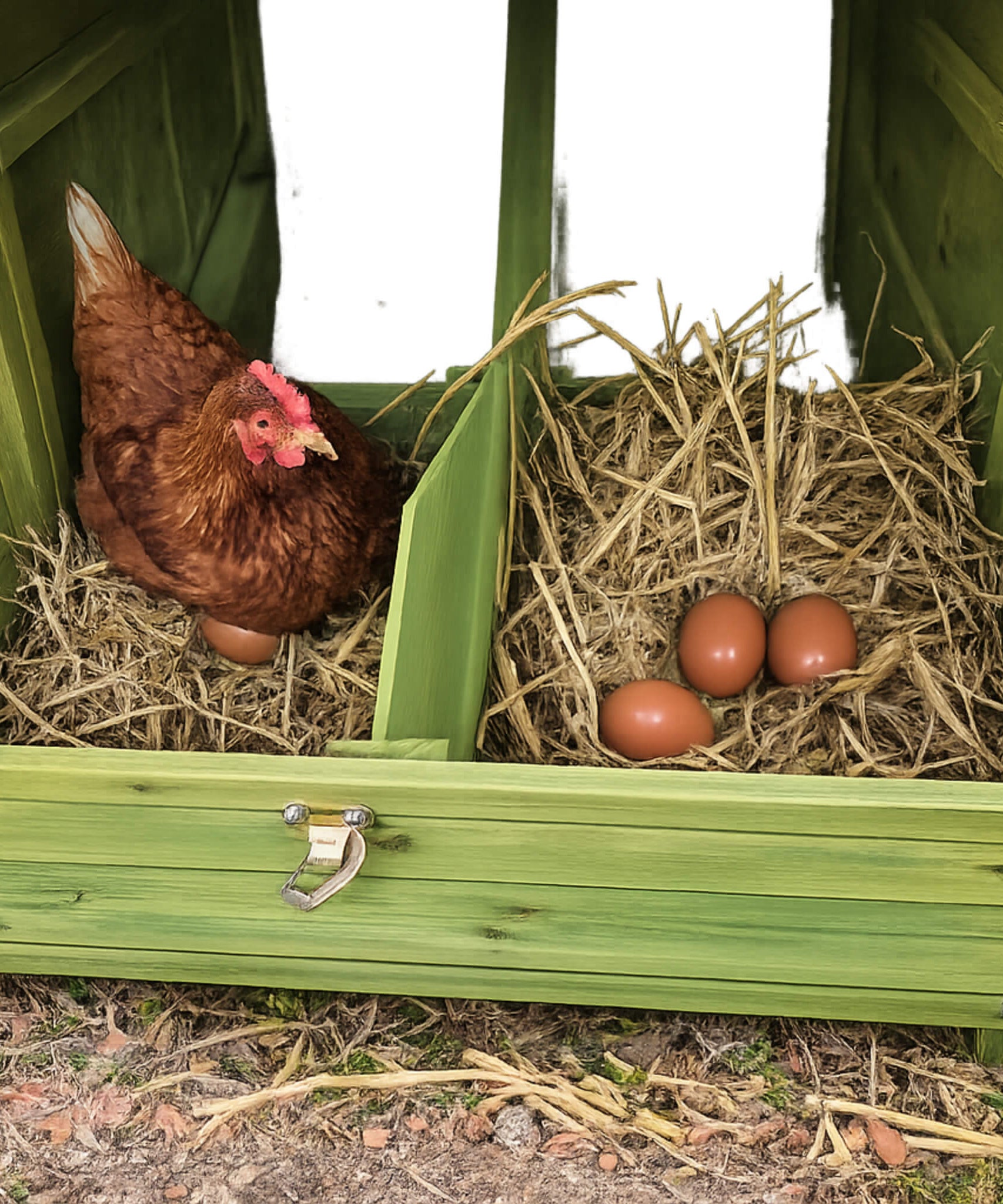 70-Inch Wooden Chicken Coop With Nesting Box, Perch, And Run Doors (SAK74619)