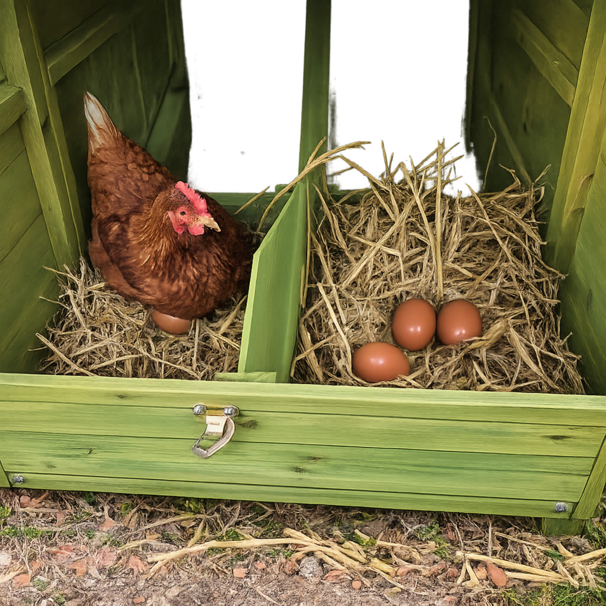 70-Inch Wooden Chicken Coop With Nesting Box, Perch, And Run Doors (SAK74619)