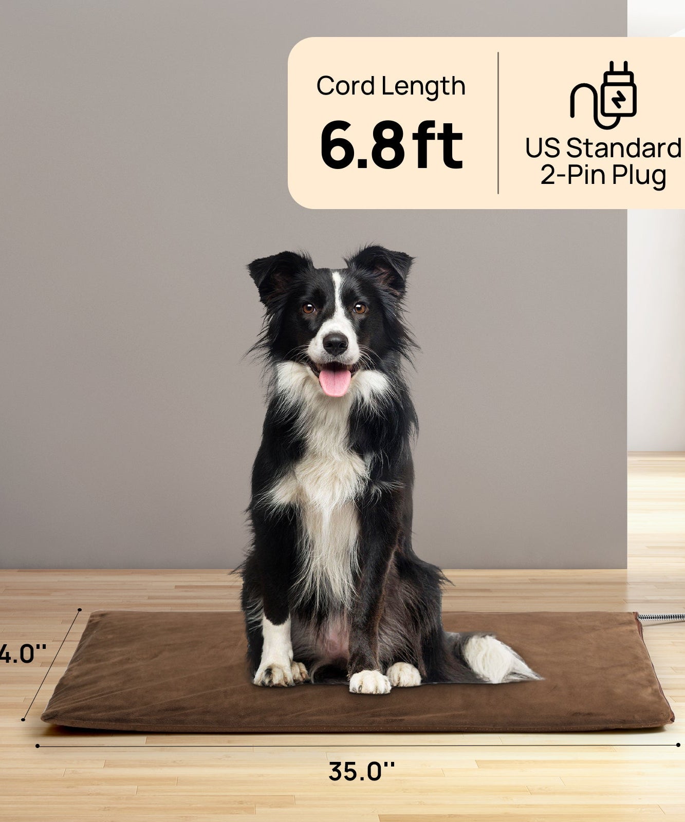 Neighborhood Outdoor Pet Heating Pad
