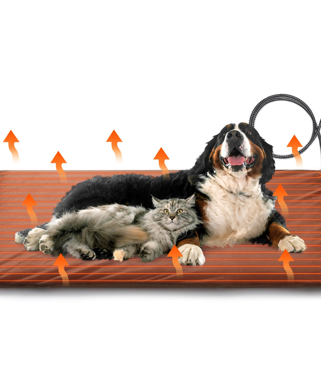 Neighborhood Outdoor Pet Heating Pad