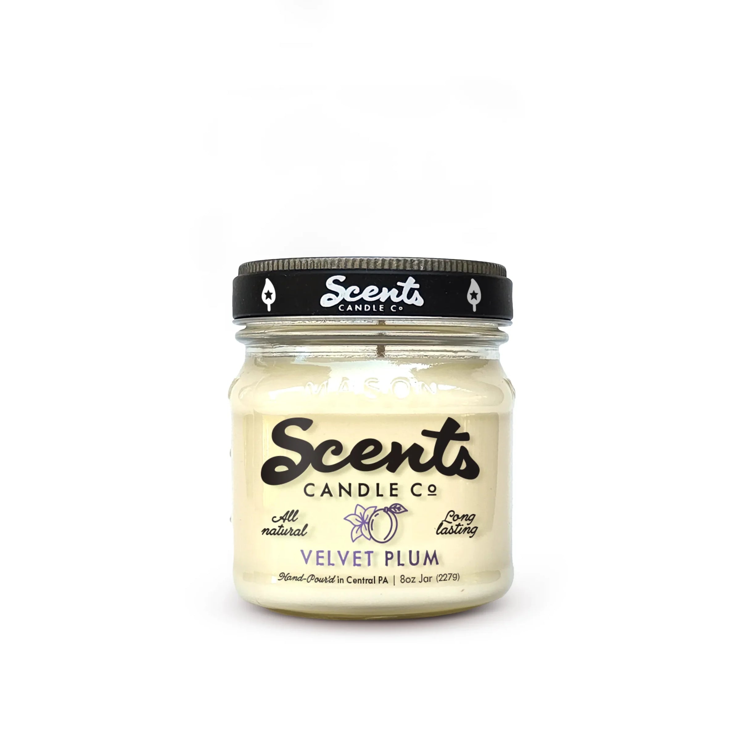 Velvet Plum Soy Wax Candles by Scents Candle Co.