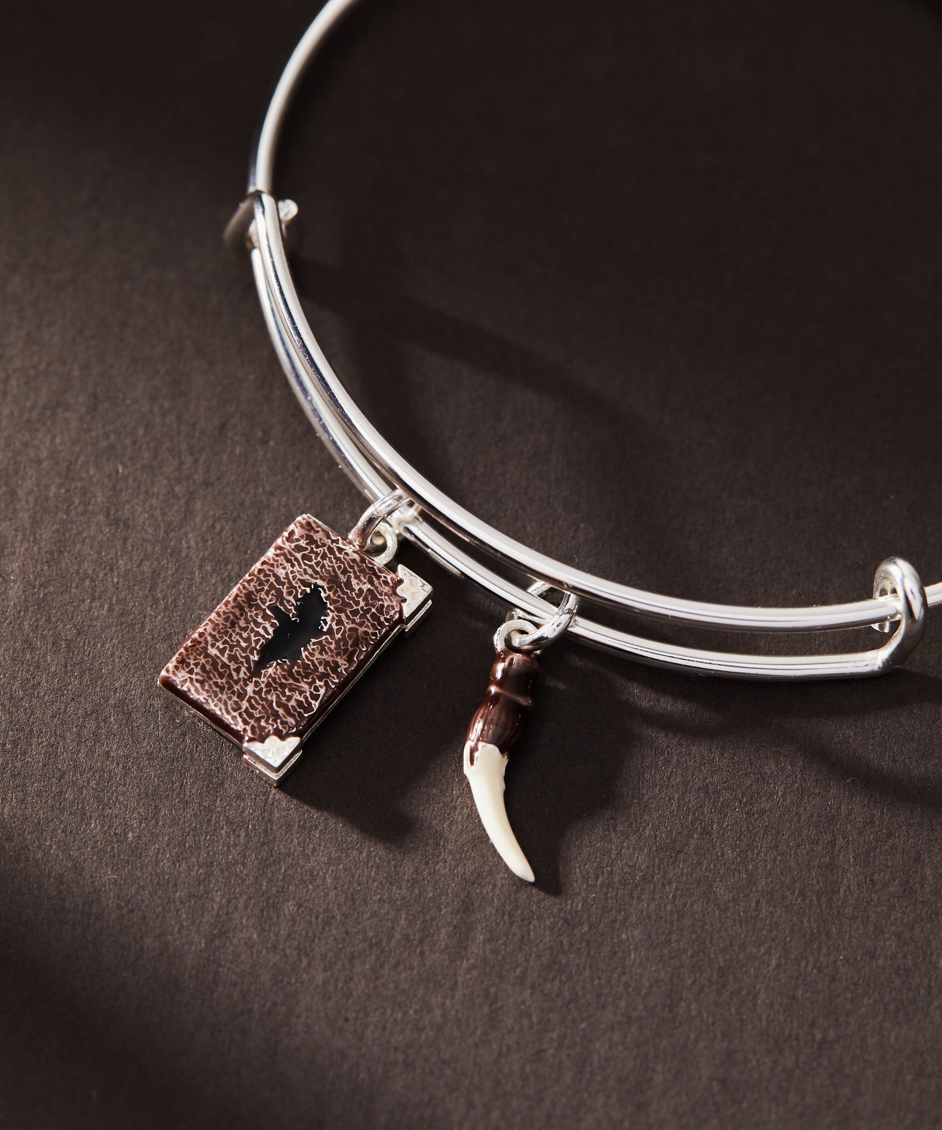 Harry Potter™ Diary and Basilisk Fang Bangle