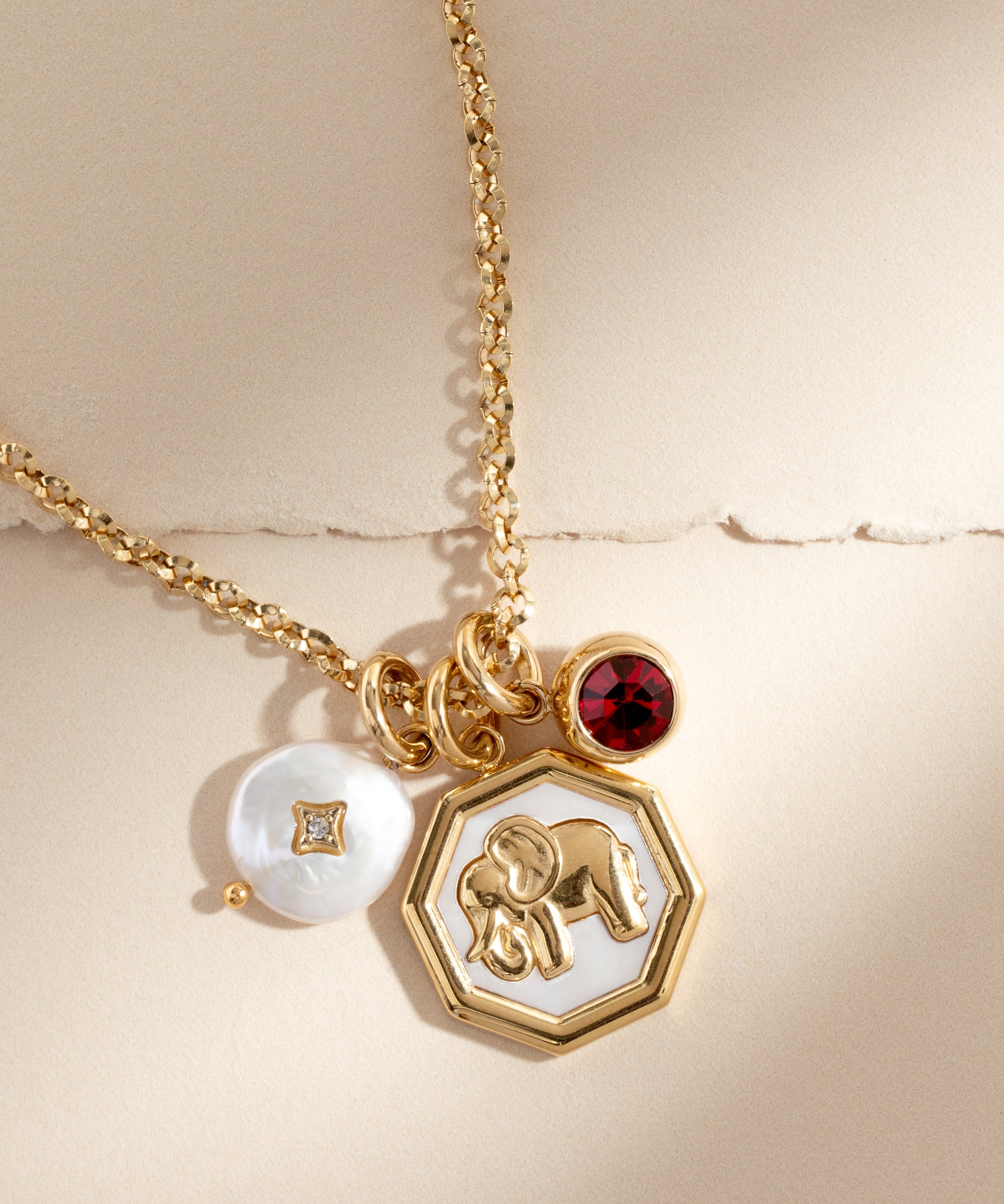 January Birthstone Interchangeable Charm