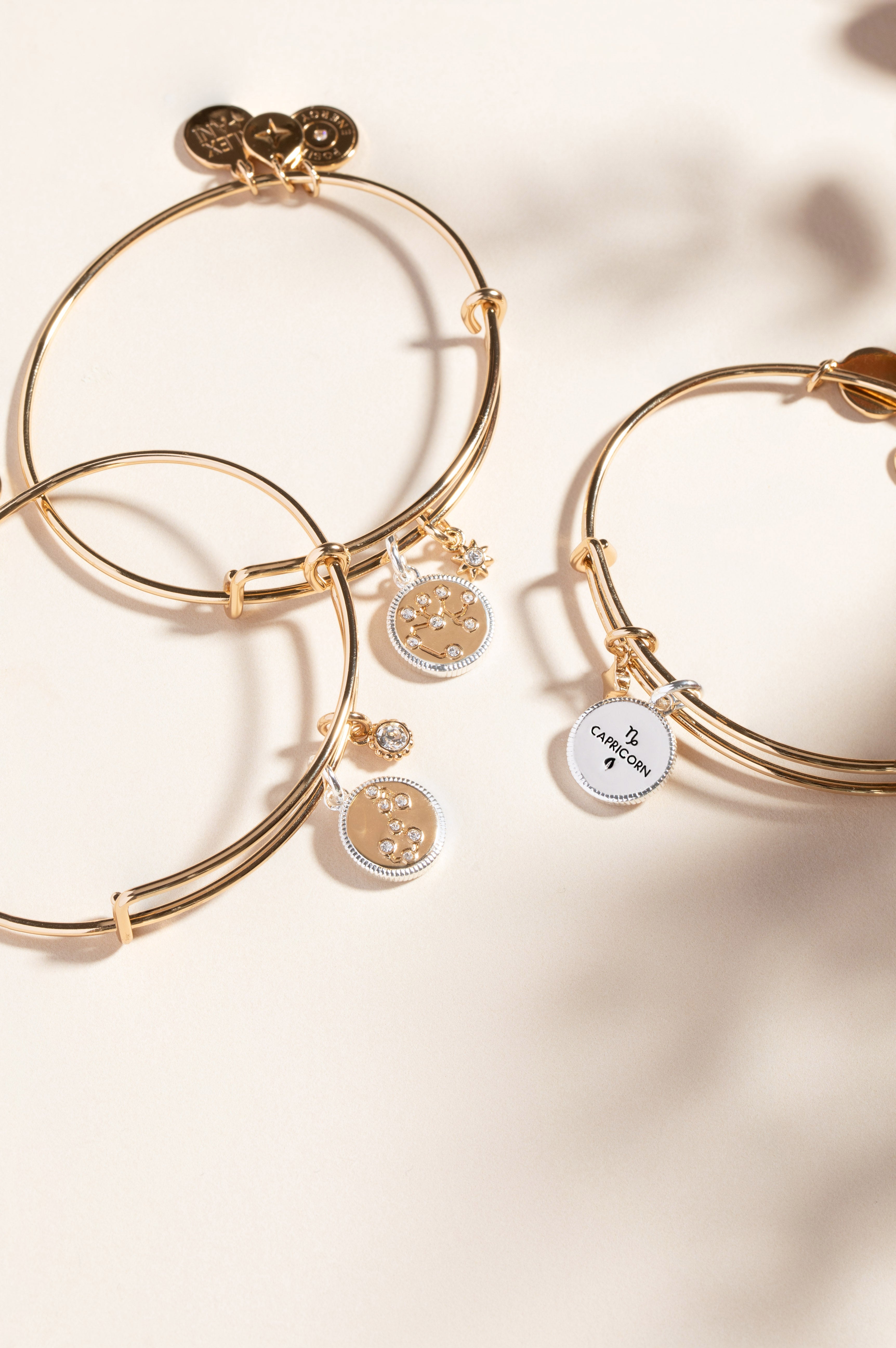 Scorpio Zodiac Charm Bangle