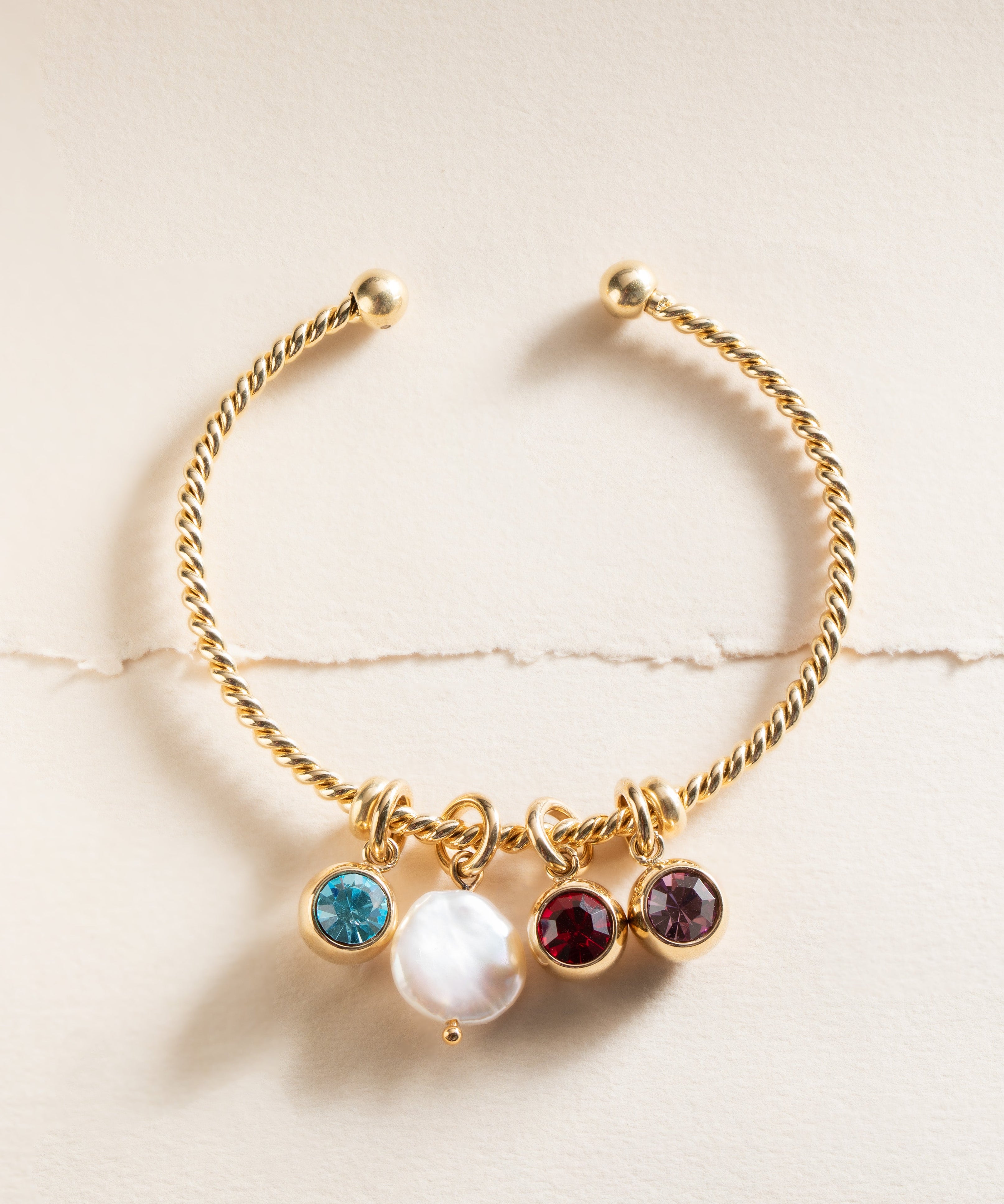 January Birthstone Interchangeable Charm