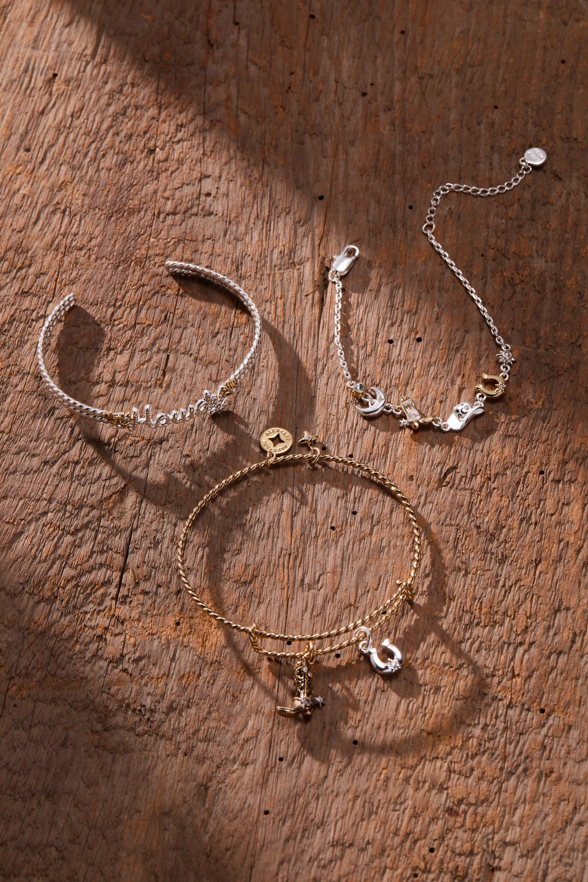 Horseshoe Charm