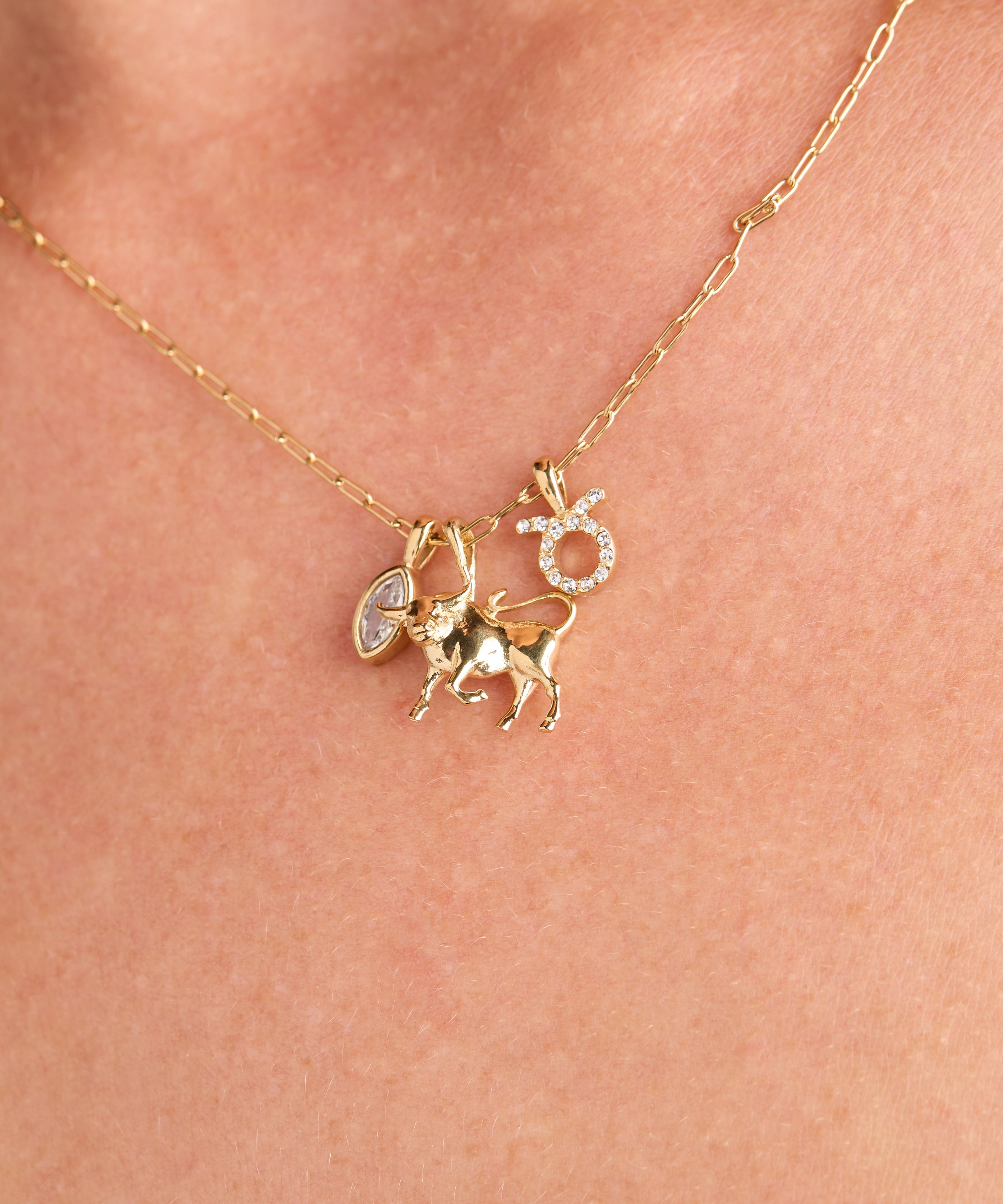 Taurus Zodiac Charm Cluster Necklace