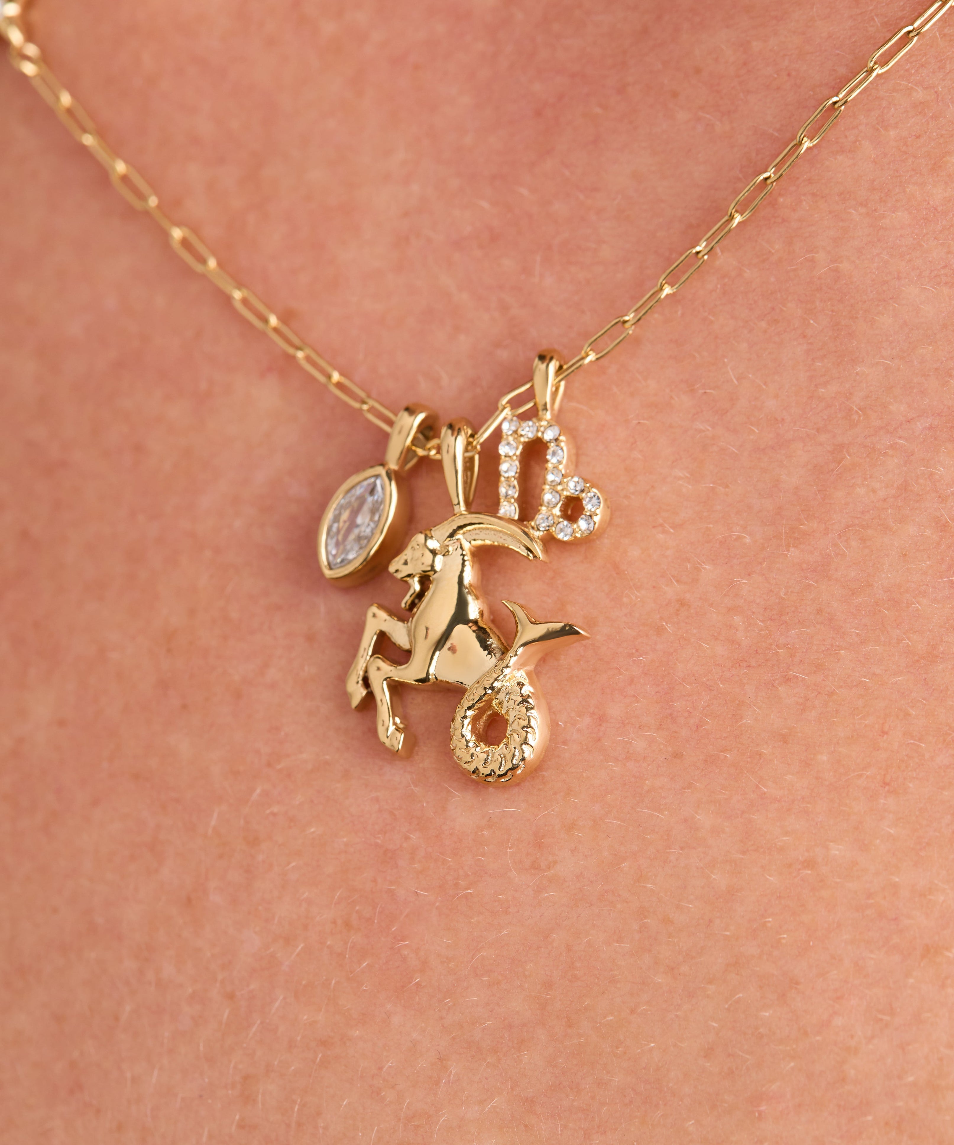 Capricorn Zodiac Charm Cluster Necklace