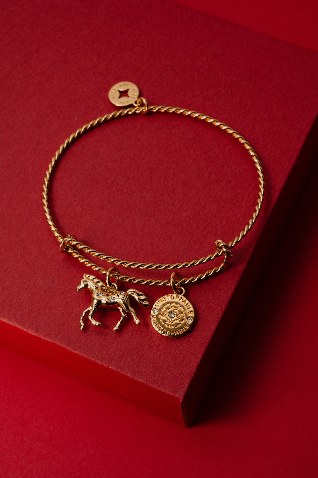 Horse Girl Rope Textured Charm Bangle
