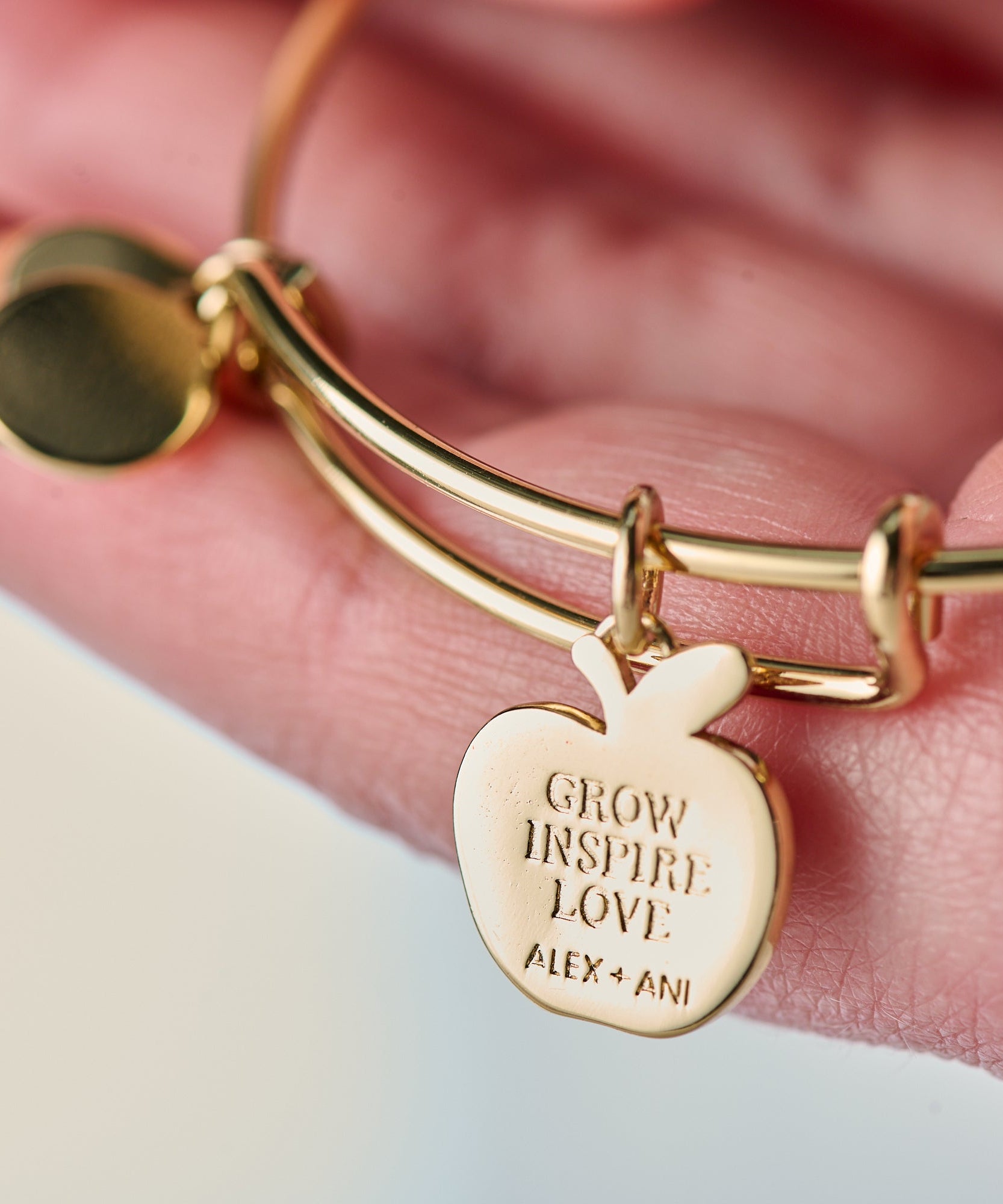 Teacher 'Grow, Inspire, Love' Apple Charm Bangle