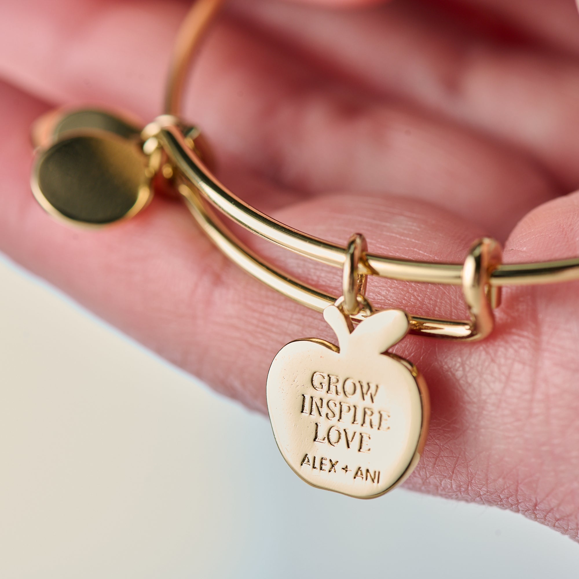 Teacher 'Grow, Inspire, Love' Apple Charm Bangle