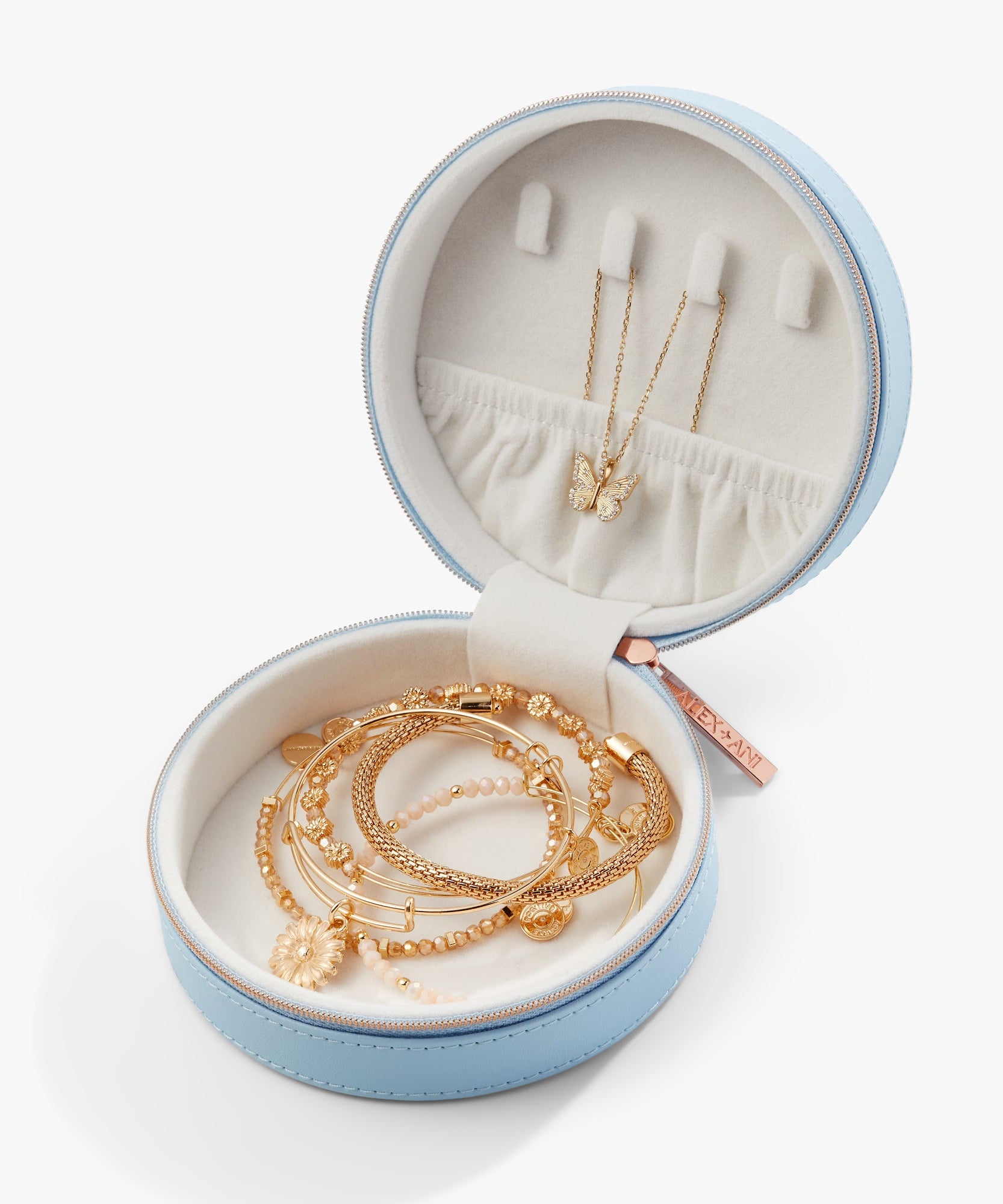 Butterfly Jewelry Case