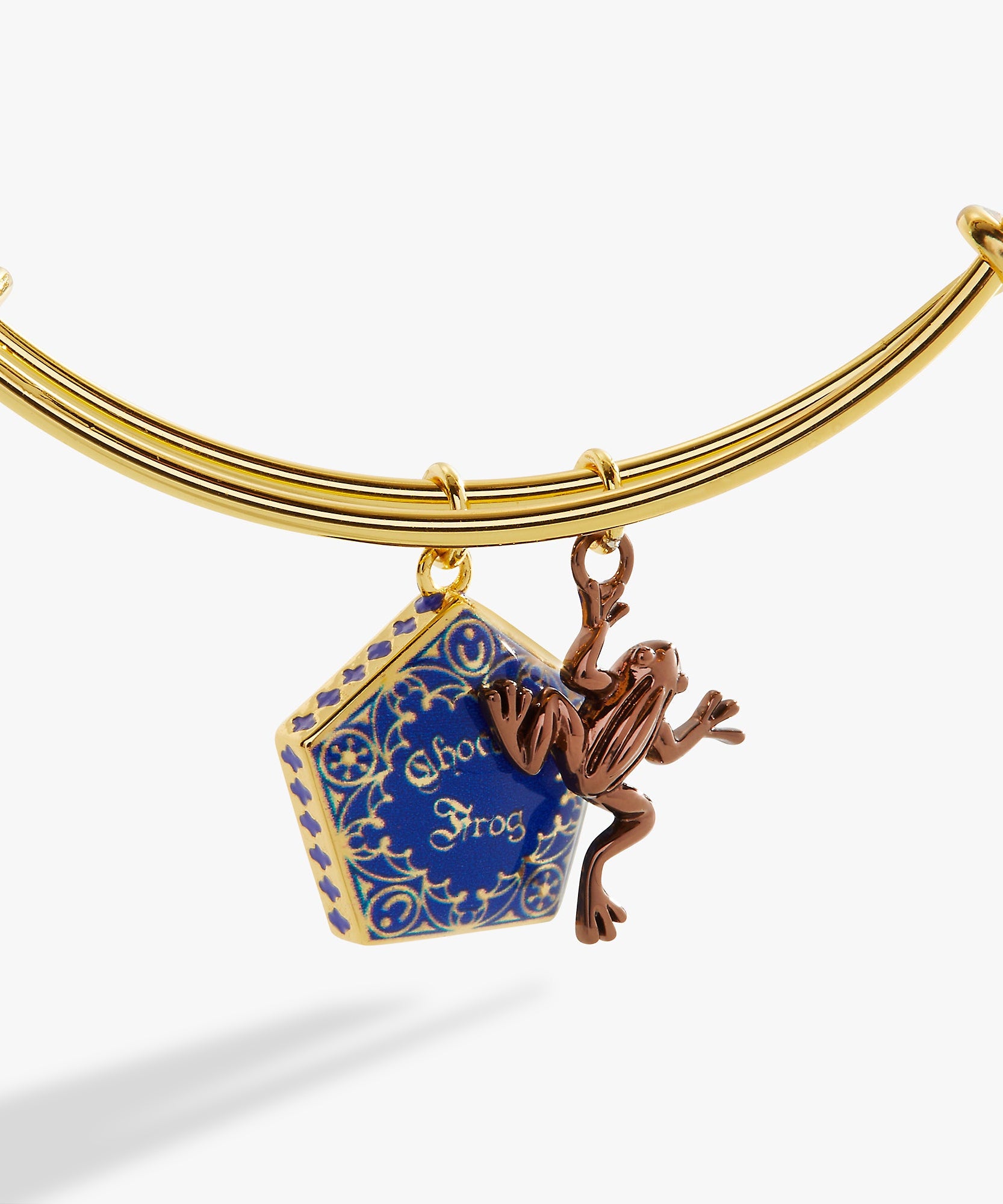 Harry Potter™ Chocolate Frog Two-Charm Bangle