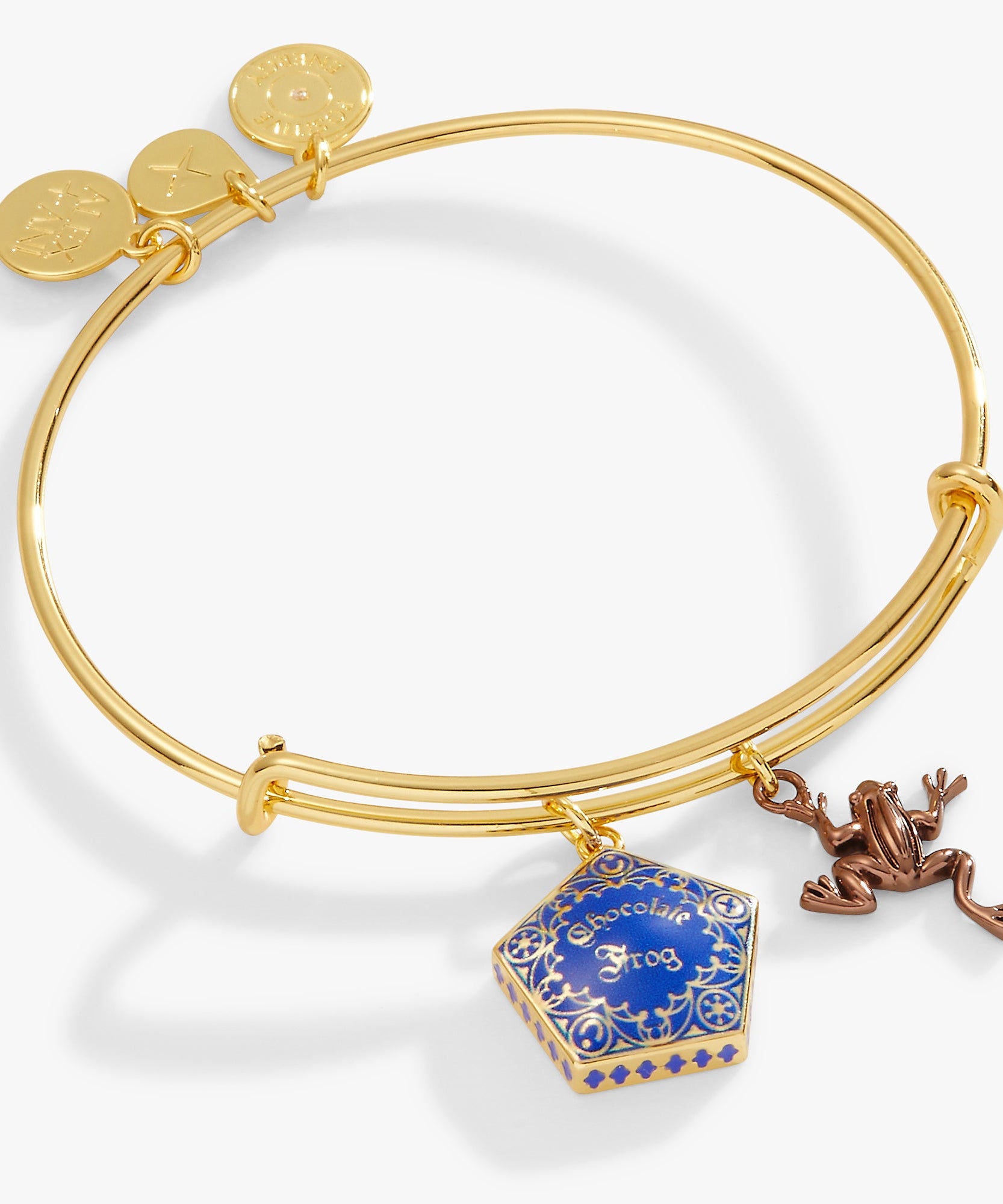 Harry Potter™ Chocolate Frog Two-Charm Bangle