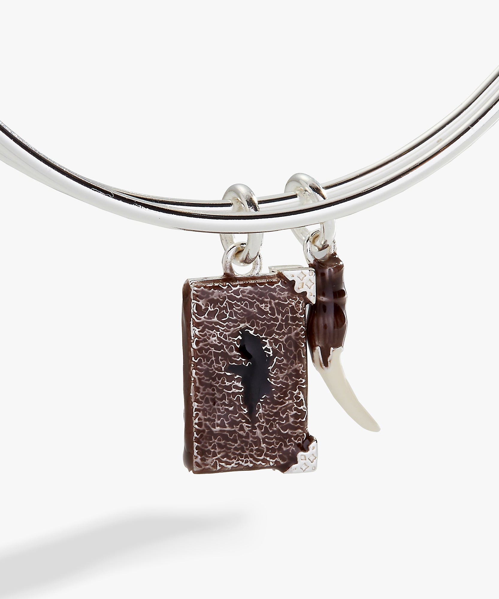 Harry Potter™ Diary and Basilisk Fang Bangle