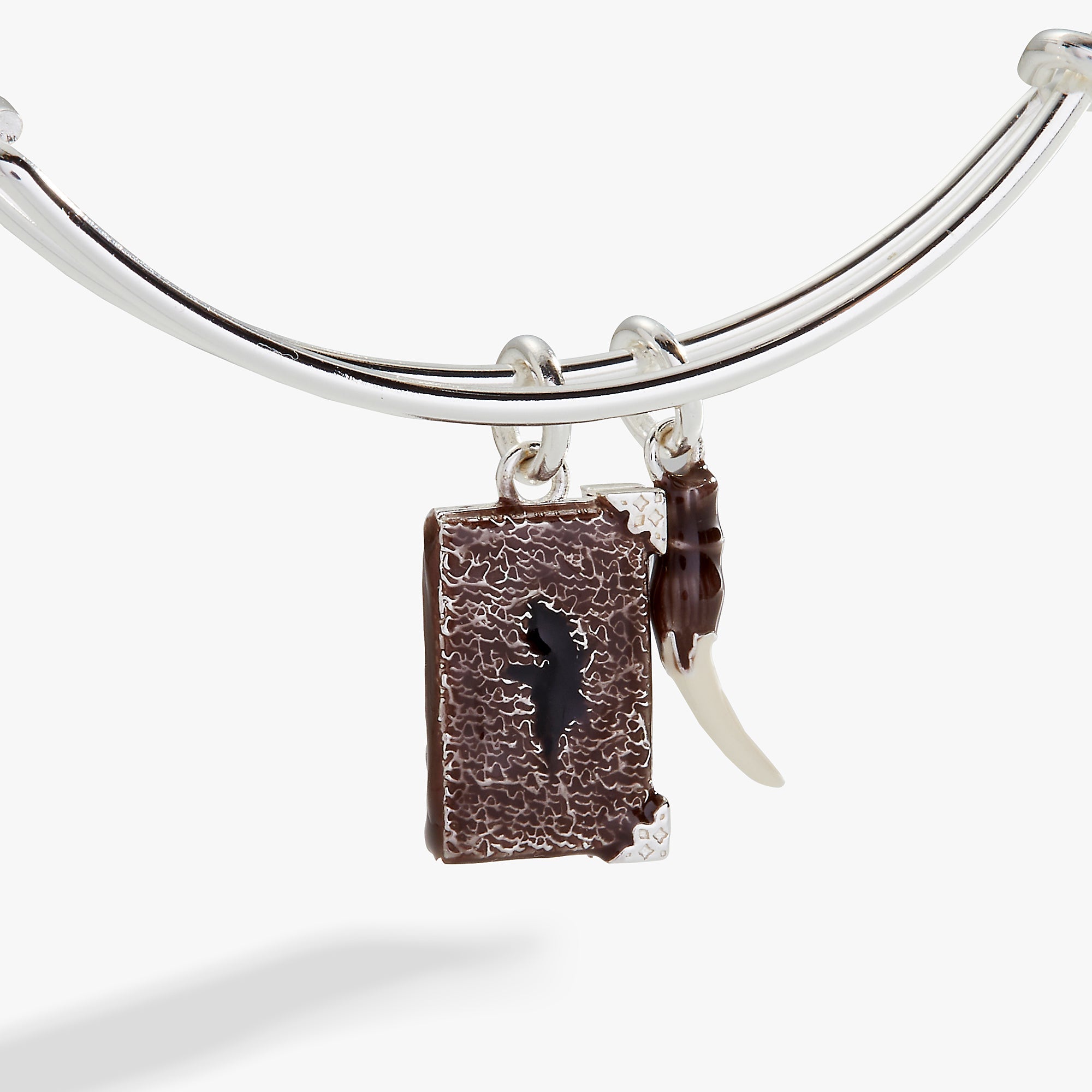 Harry Potter™ Diary and Basilisk Fang Bangle