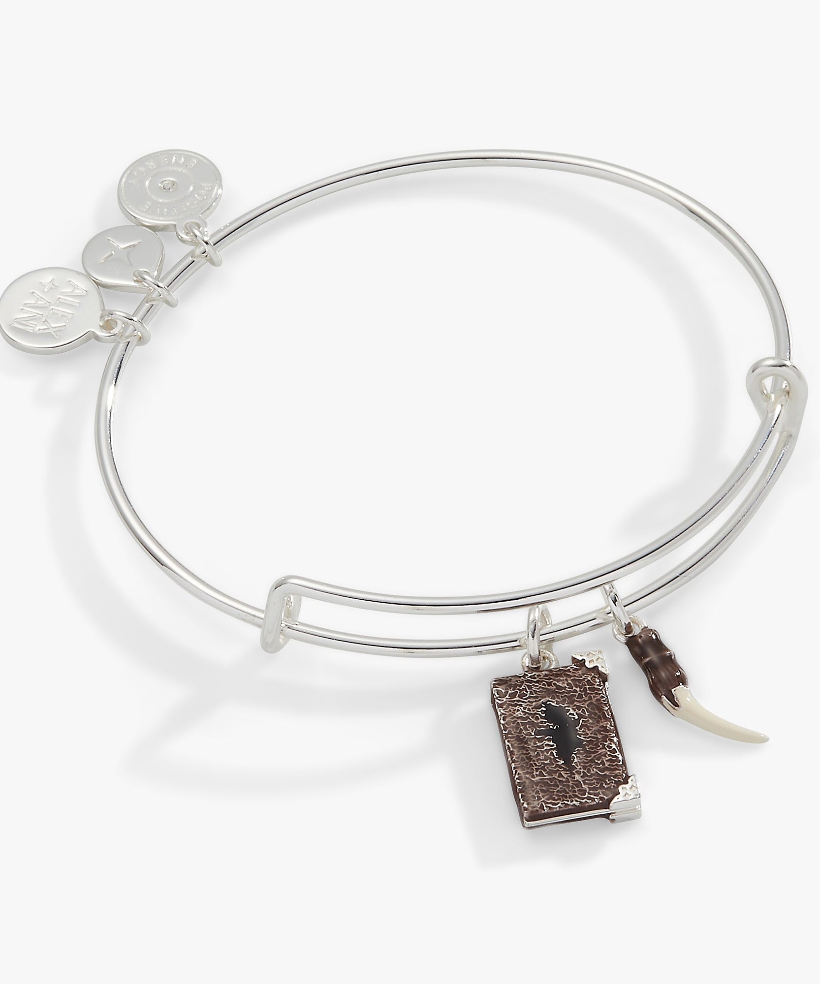 Harry Potter™ Diary and Basilisk Fang Bangle