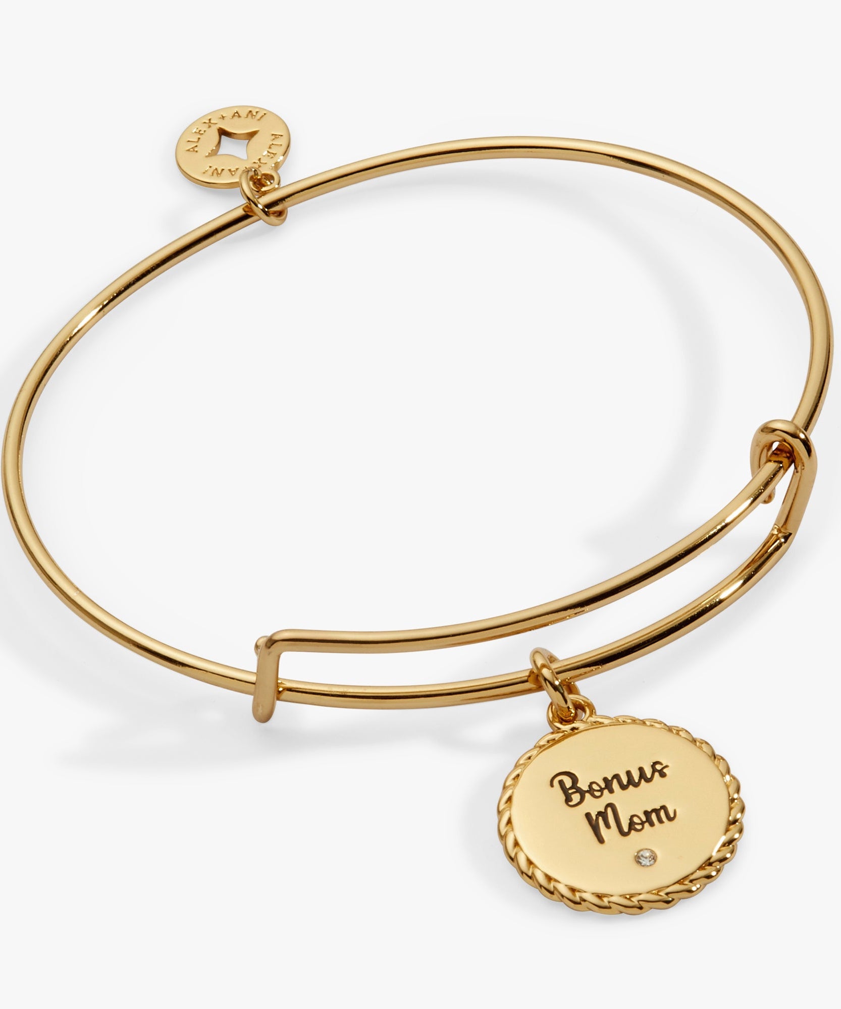 Bonus Mom 'Family Isn't Only Blessed By Name' Charm Bangle
