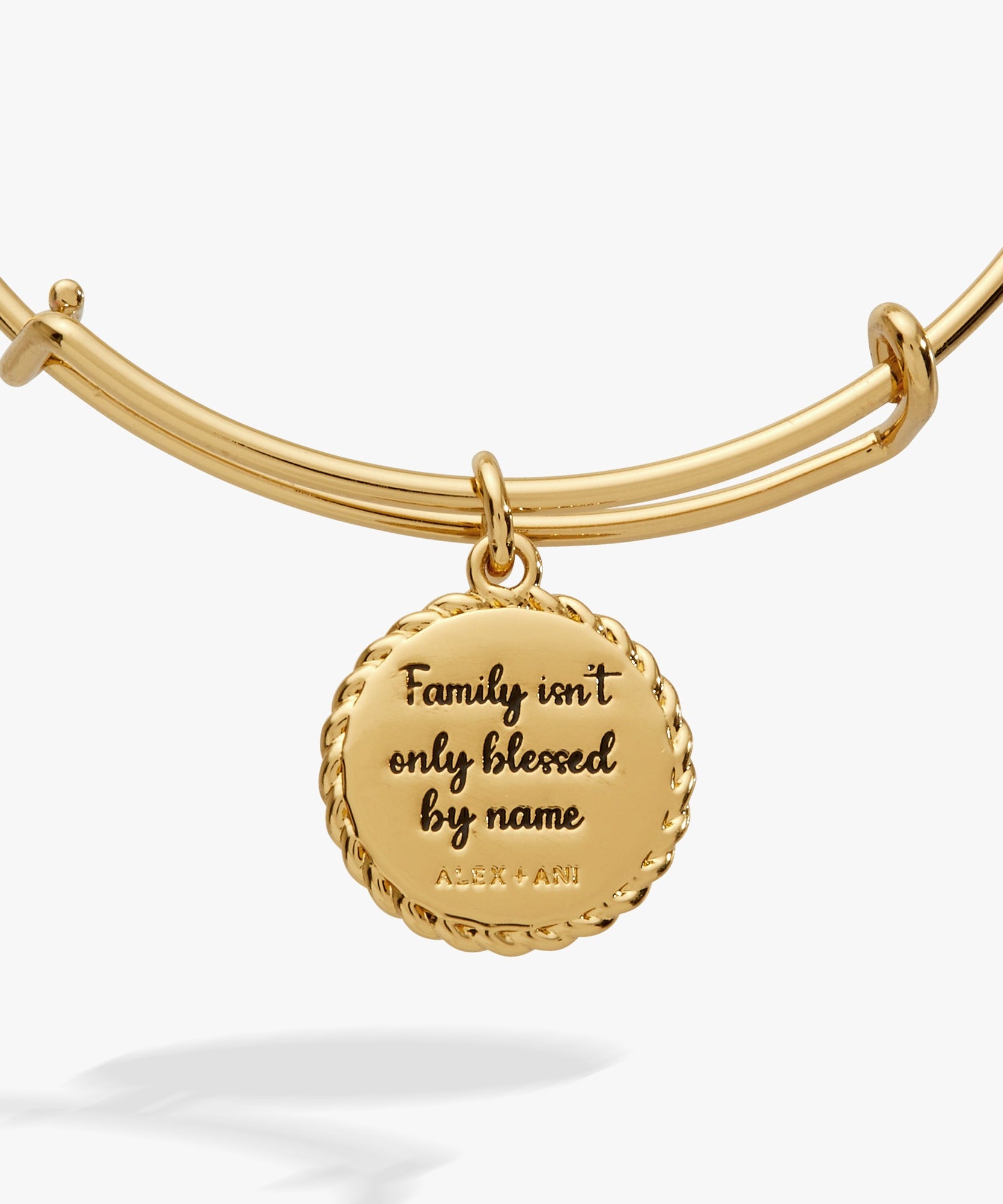 Bonus Mom 'Family Isn't Only Blessed By Name' Charm Bangle