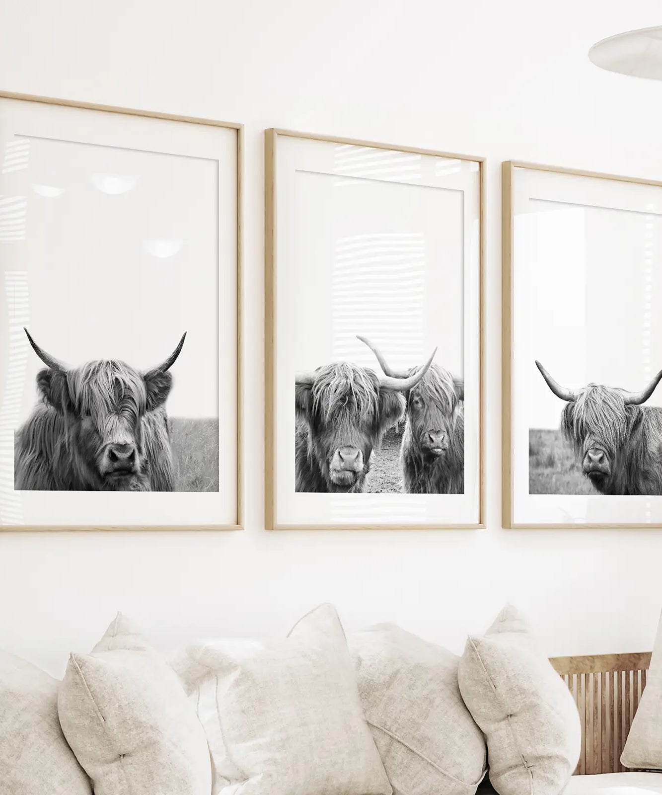 Black White Highland Cow Photo. 3 Piece Wall Art