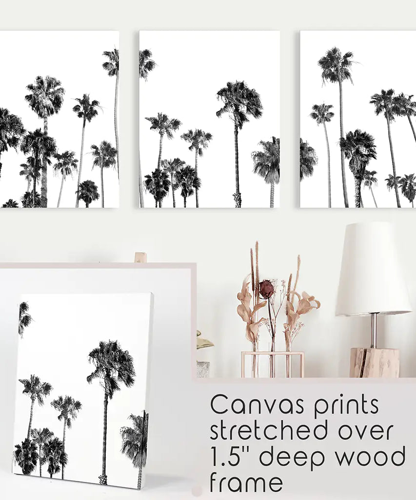 Black and White Palm Trees. Tropical Wall Art Set of 3 Prints